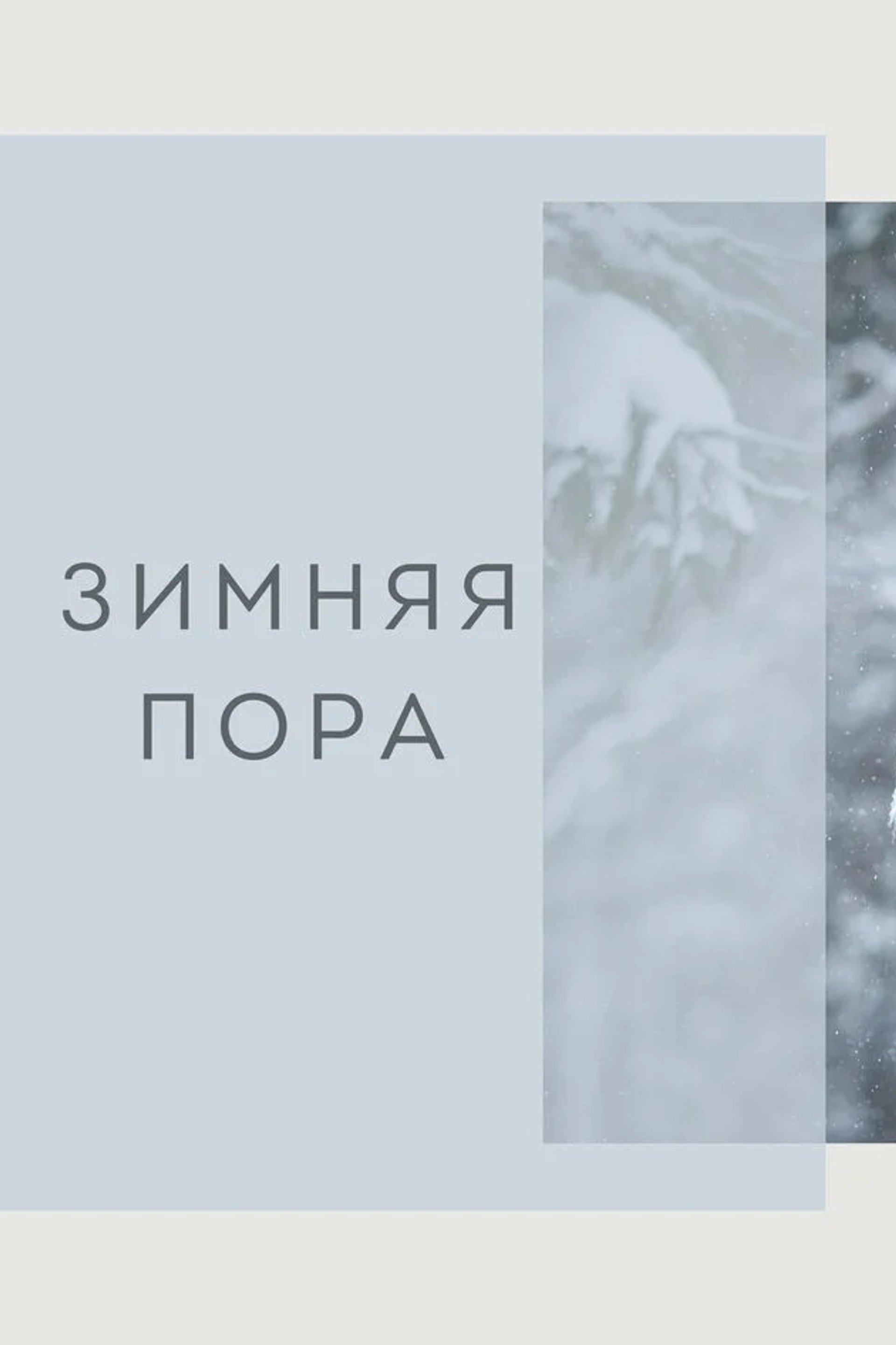 Детский портрет в домашних условиях. Семейный и детский фотограф в Москве Юлия Твердова