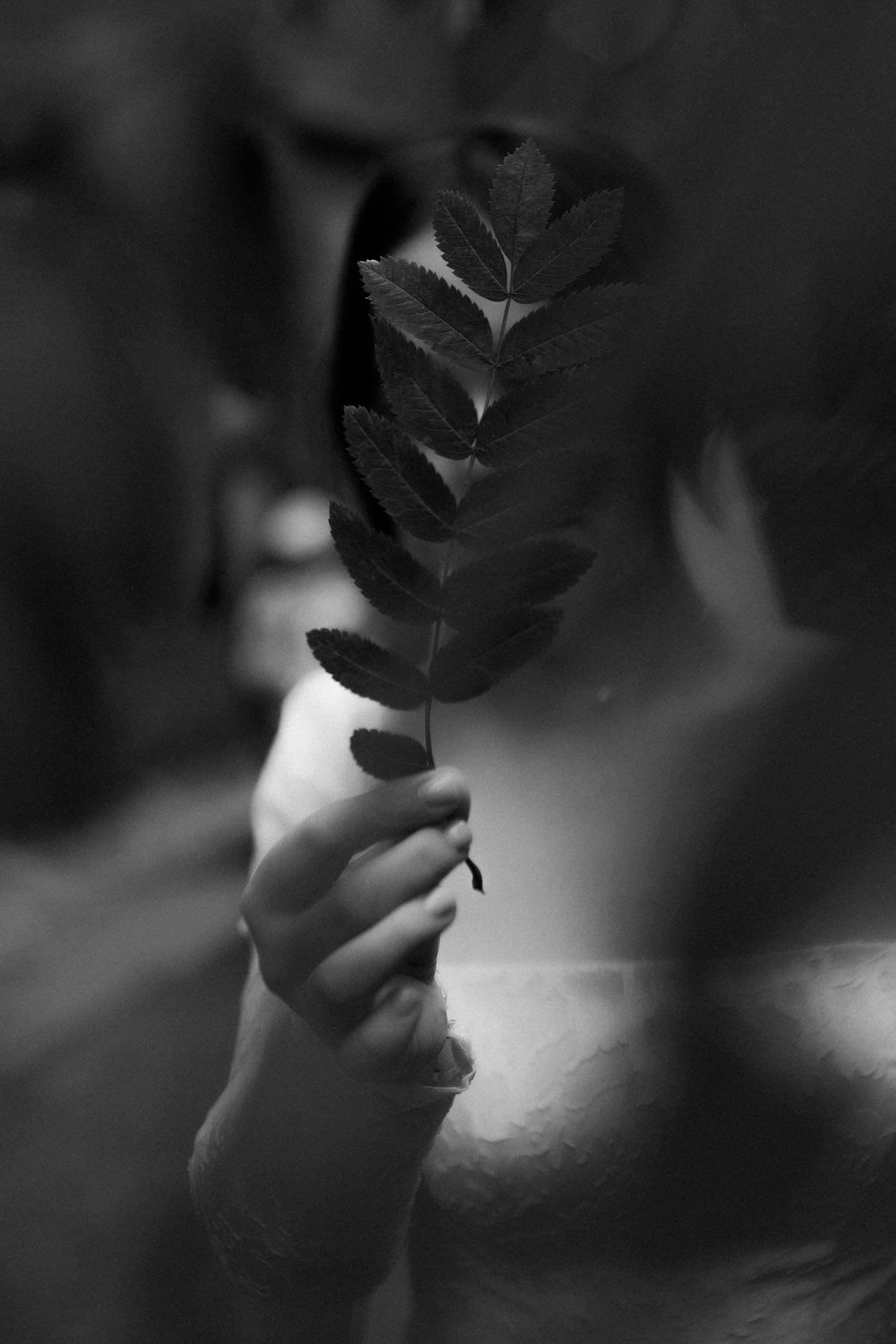 СВАДЕБНЫЙ ФОТОГРАФ В КАЛИНИНГРАДЕ РУПЕЦ ИГОРЬ. ФОТОГРАФ КАЛИНИНГРАД РУПЕЦ ИГОРЬ