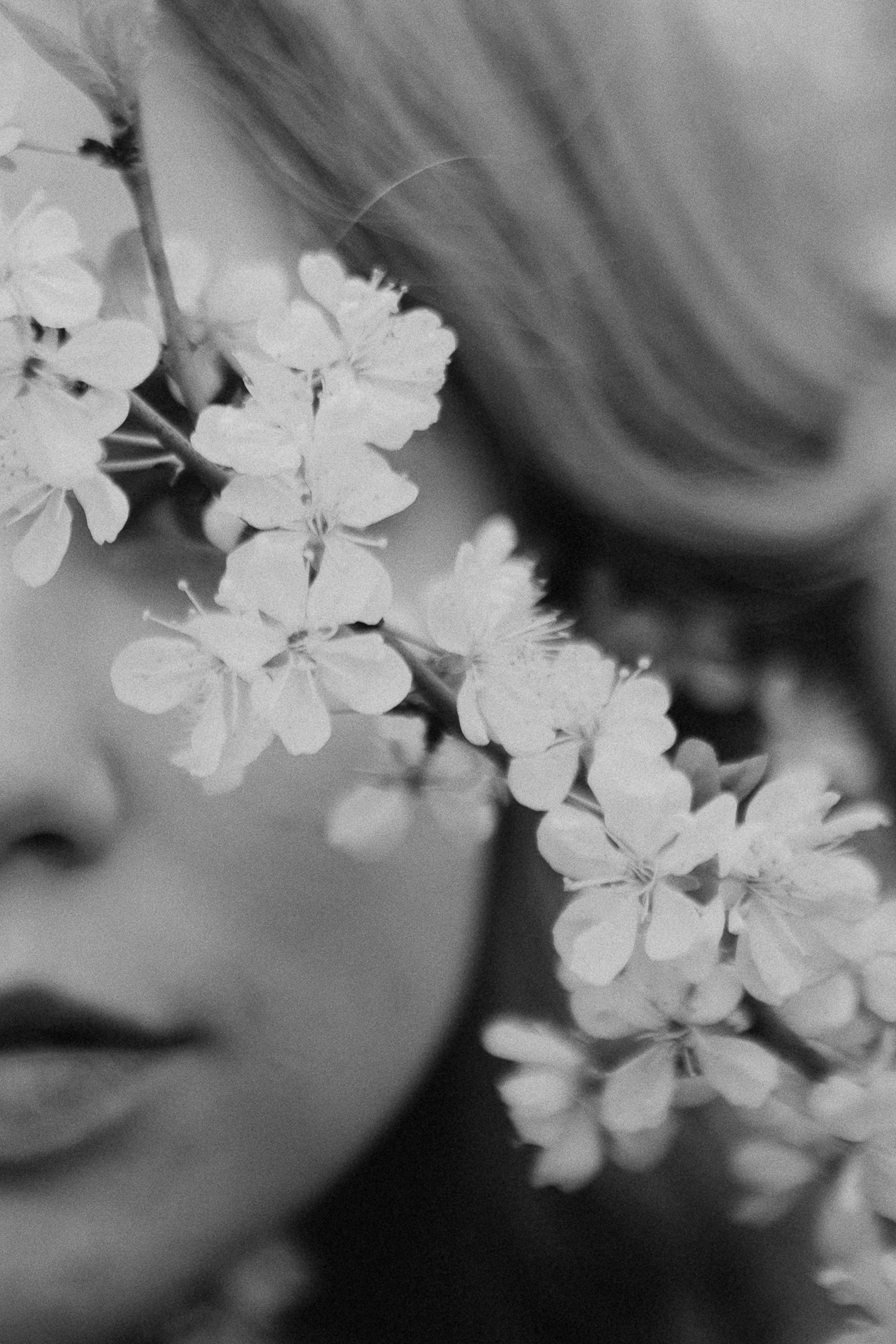 Серии. Портретный фотограф в Иванове Ольга Гуральник