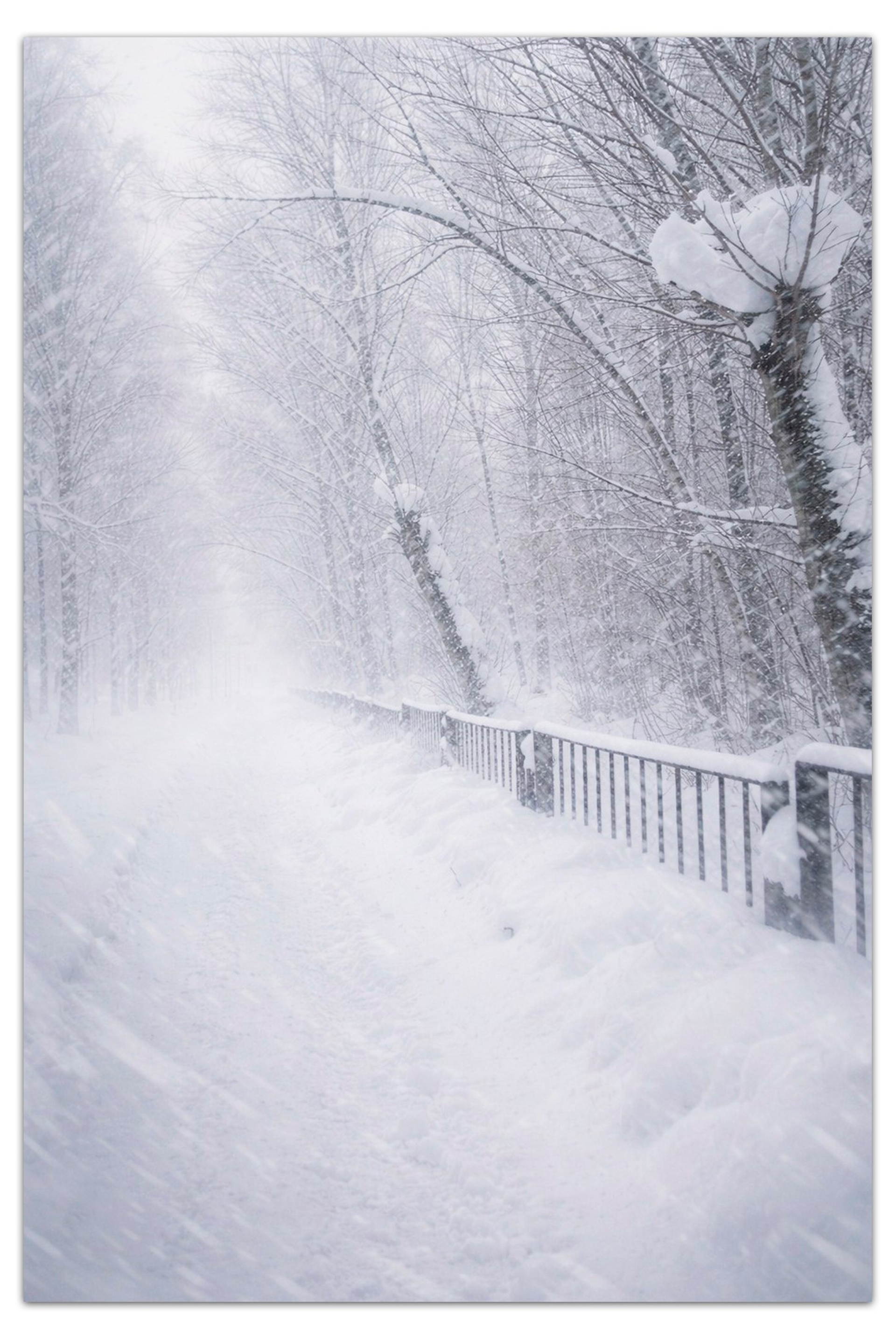 Детская и семейная фотография. Детский и семейный фотограф в Кирове Аня Шутова