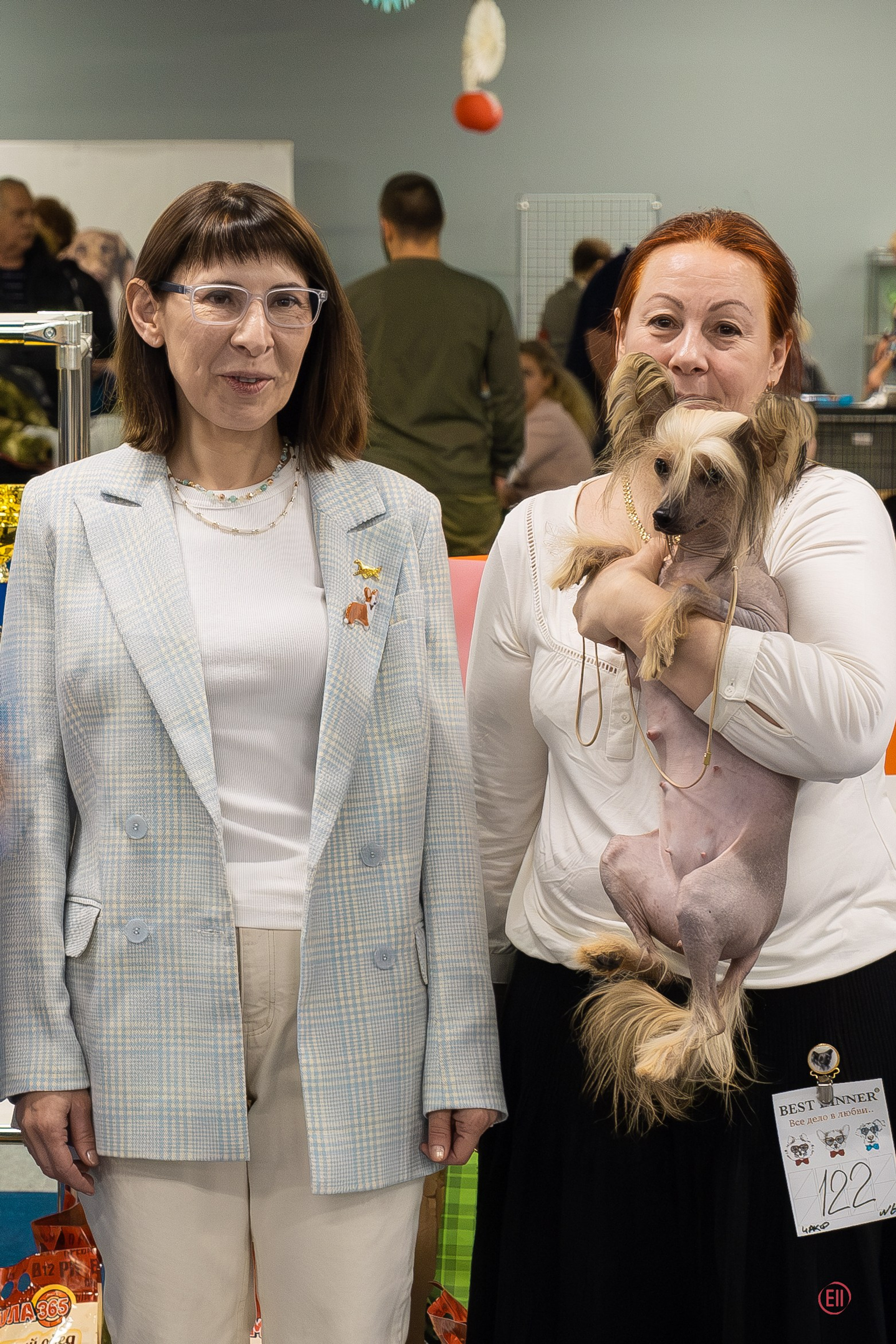 Chester became a dad. Chinese Crested Dog Kennel Poale Ell