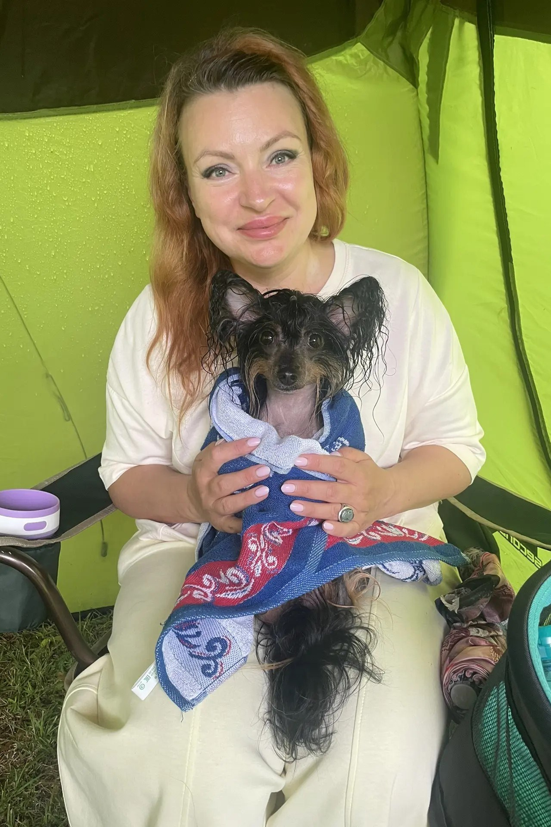 Предновогодняя выставка Элечки. Poale Ell Chinese Crested Dog Kennel: Buy a puppy from the kennel