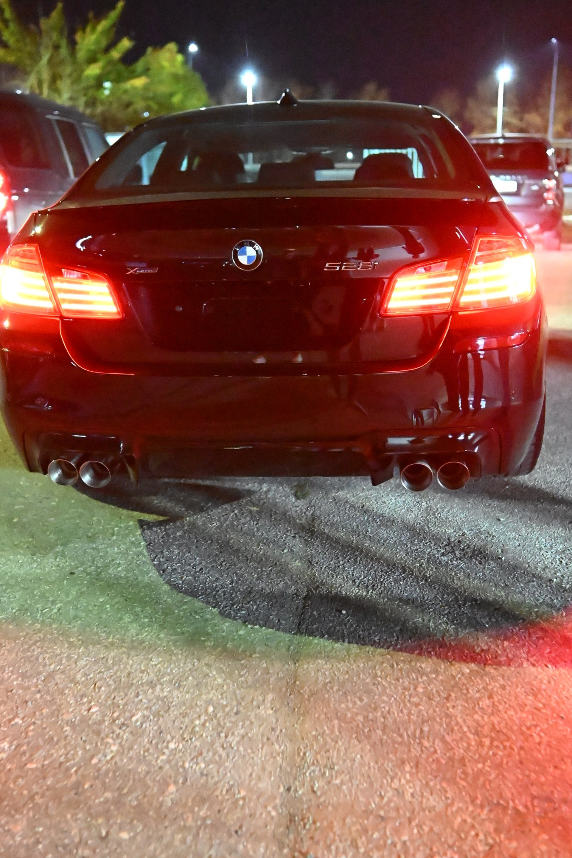 BMW 5 Series (F10) раздвоенный выхлоп