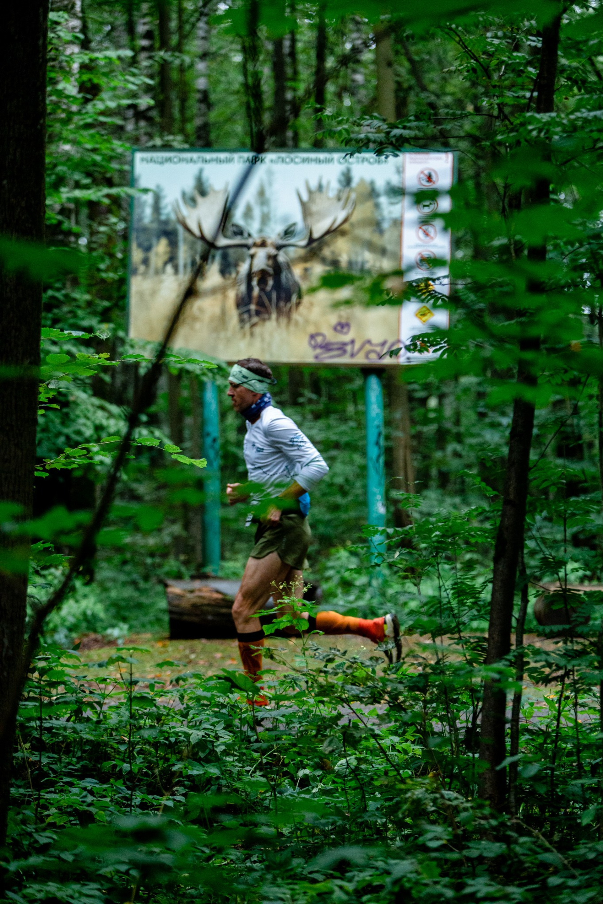 Прошедшие съемки. Павел Шарапов | Фотограф | Москва