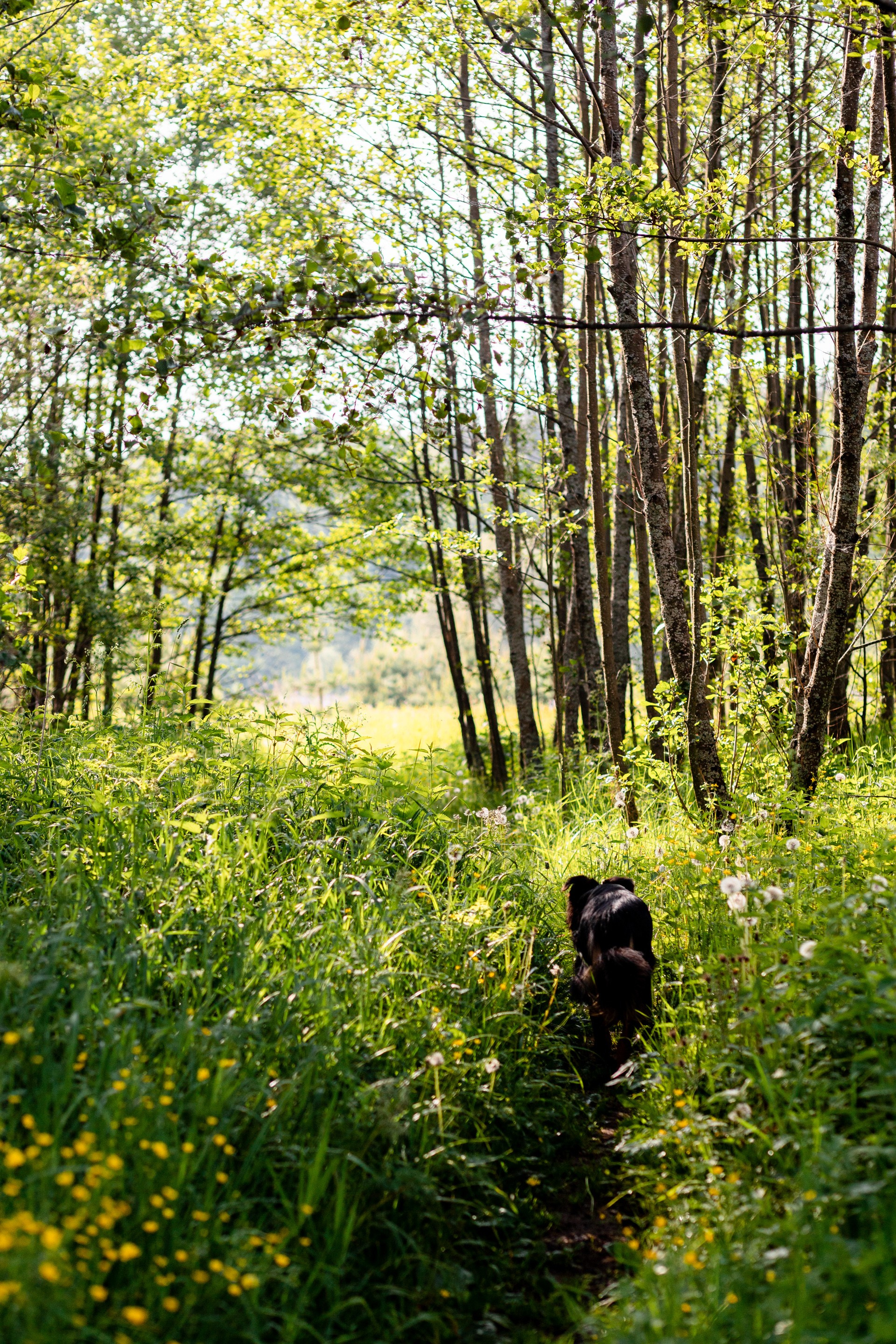 Прошедшие съемки. Павел Шарапов | Фотограф | Москва