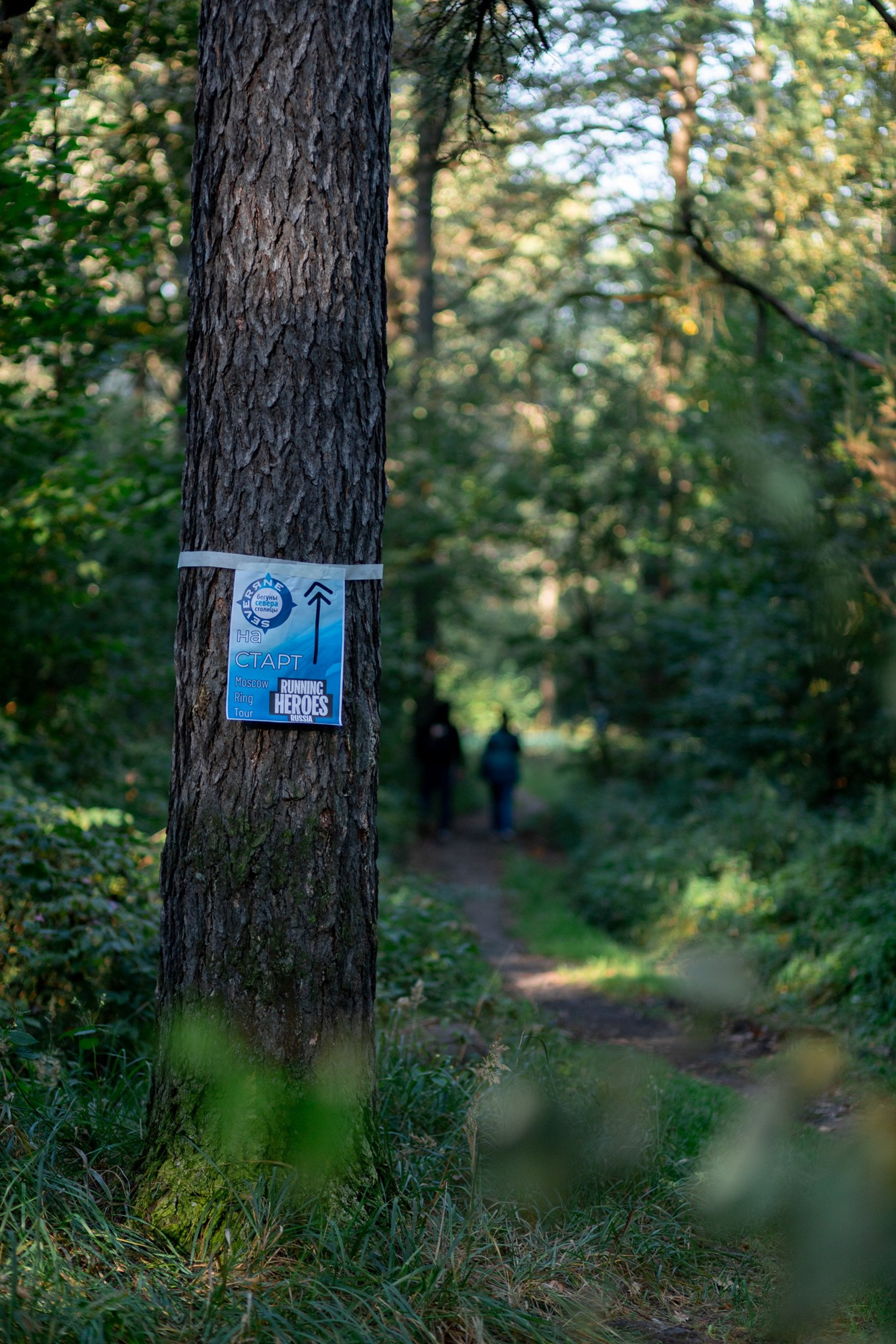 Прошедшие съемки. Павел Шарапов | Фотограф | Москва