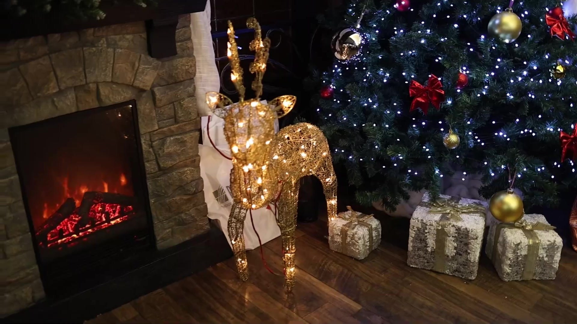 SDE-ролики. Фото и видеосъёмка в Уссурийске от семьи Русиных