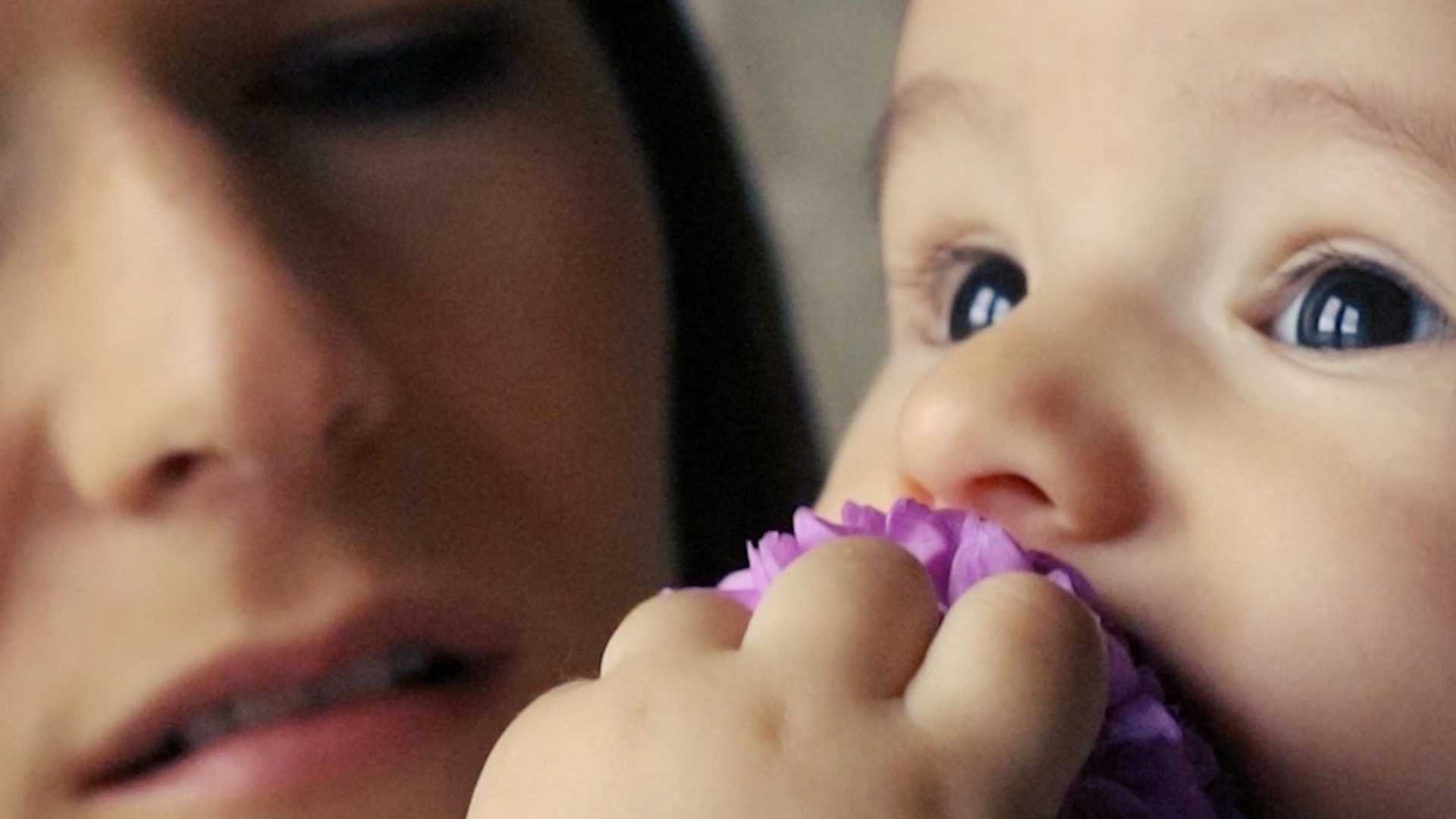 Семейные фильмы. Видеограф Новосибирск Сибирь Алтай. Илья Натворил