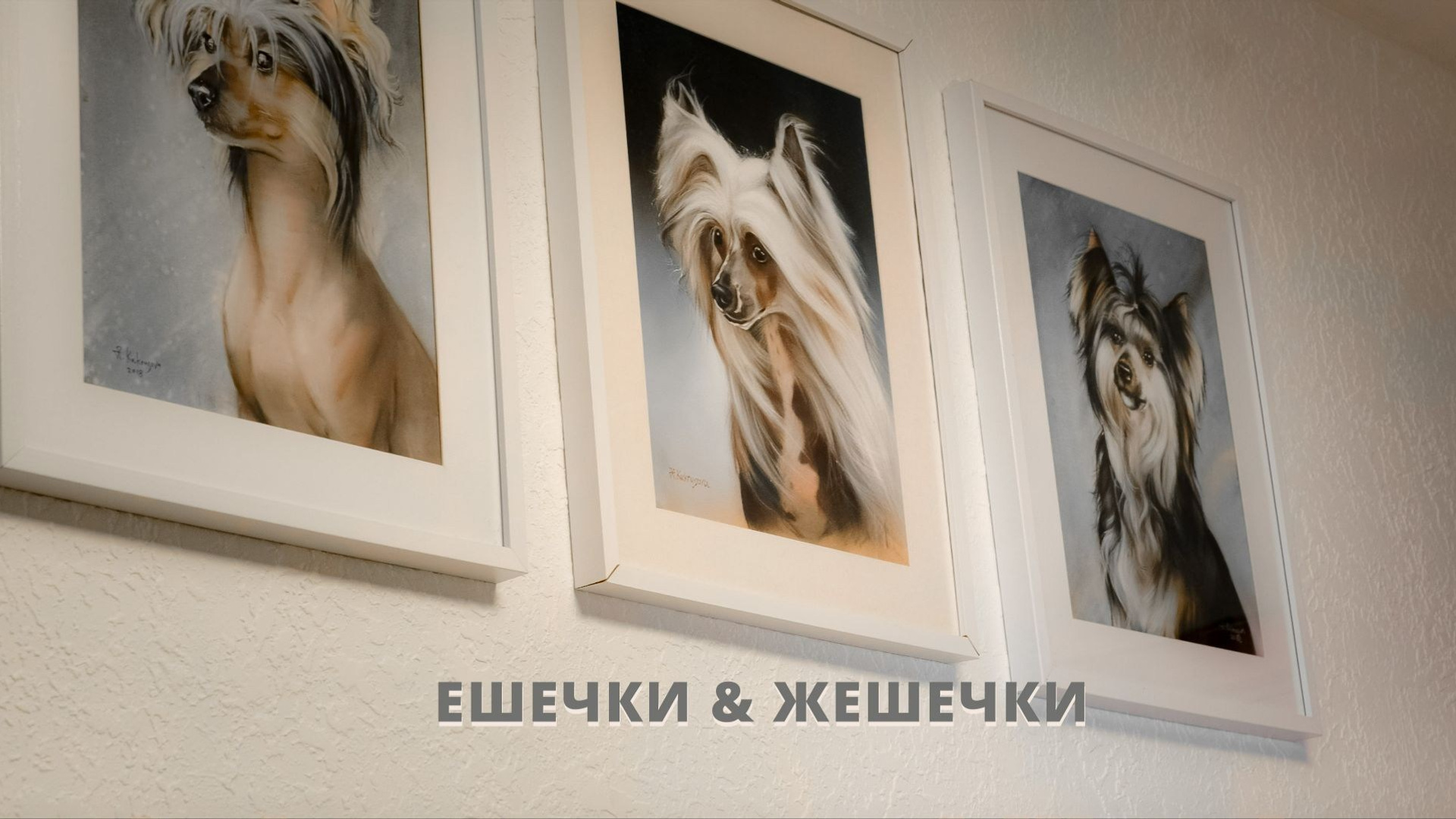 Щенки Помёт Е