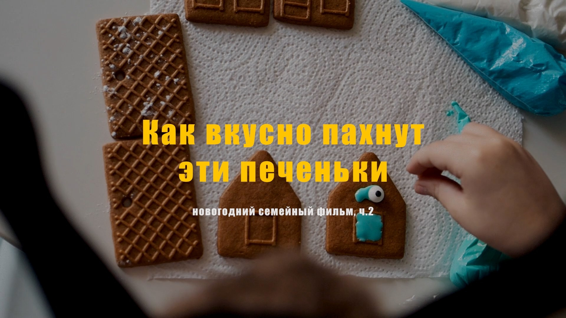 Фильмы о семье. Семейный видеограф в Москве Элина Ладова