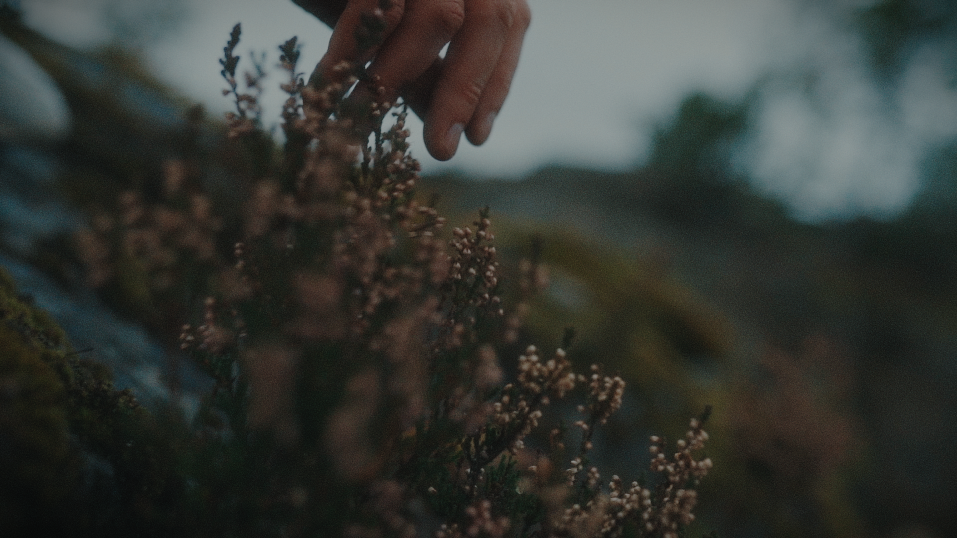 Аффинаж «Буду Скучать». Цветокоррекция & Color Grading