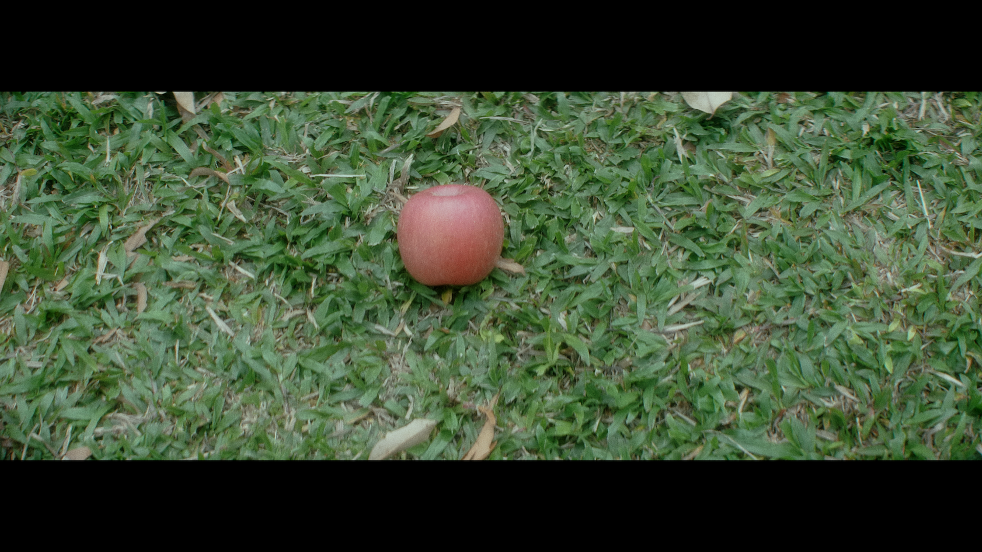 «Waimai Rough». Цветокоррекция & Color Grading