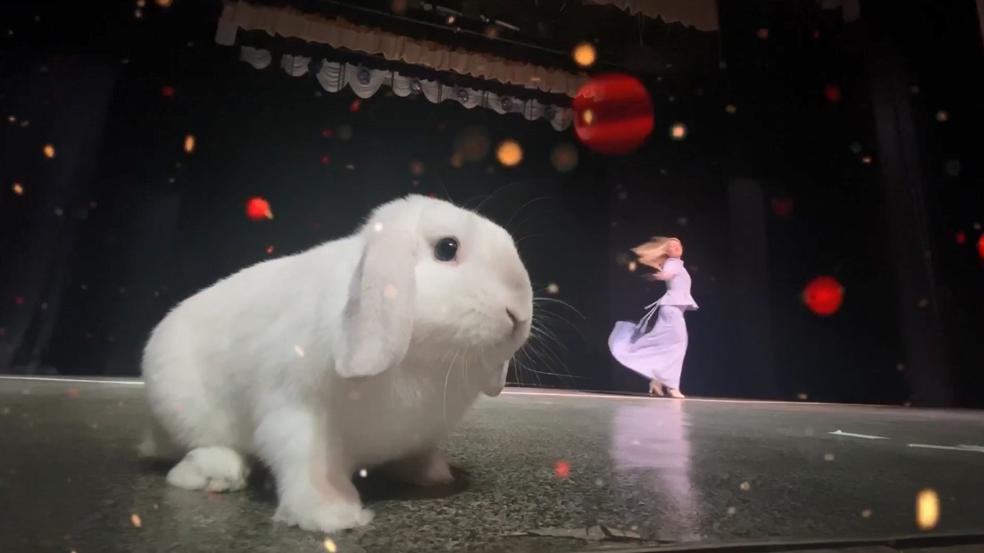 Видео-визитки коллектива Танцкласс Лилии Лебедевой. Tanzclass Лилии Лебедевой, Фрязино