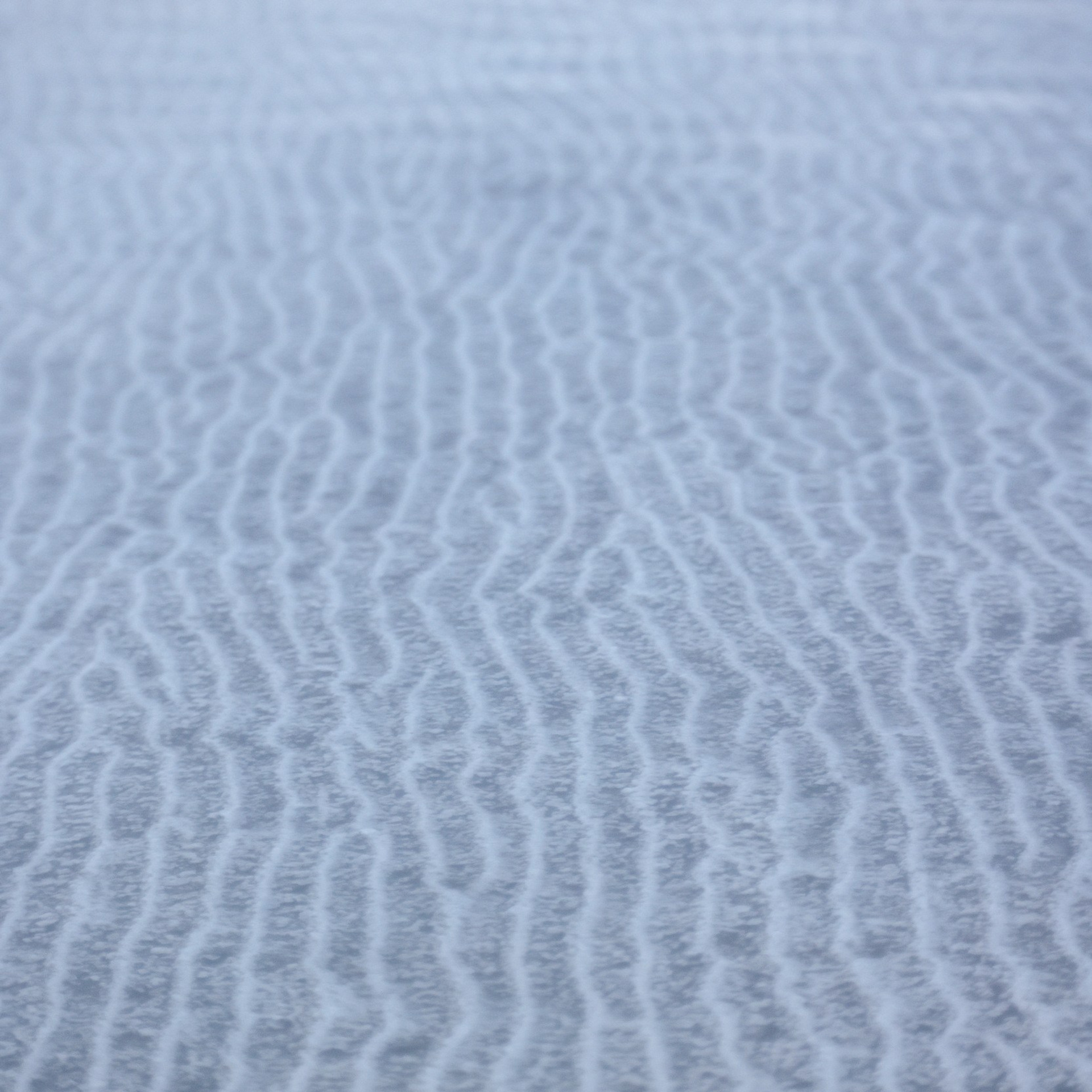 Эльтон: весенний пролет птиц