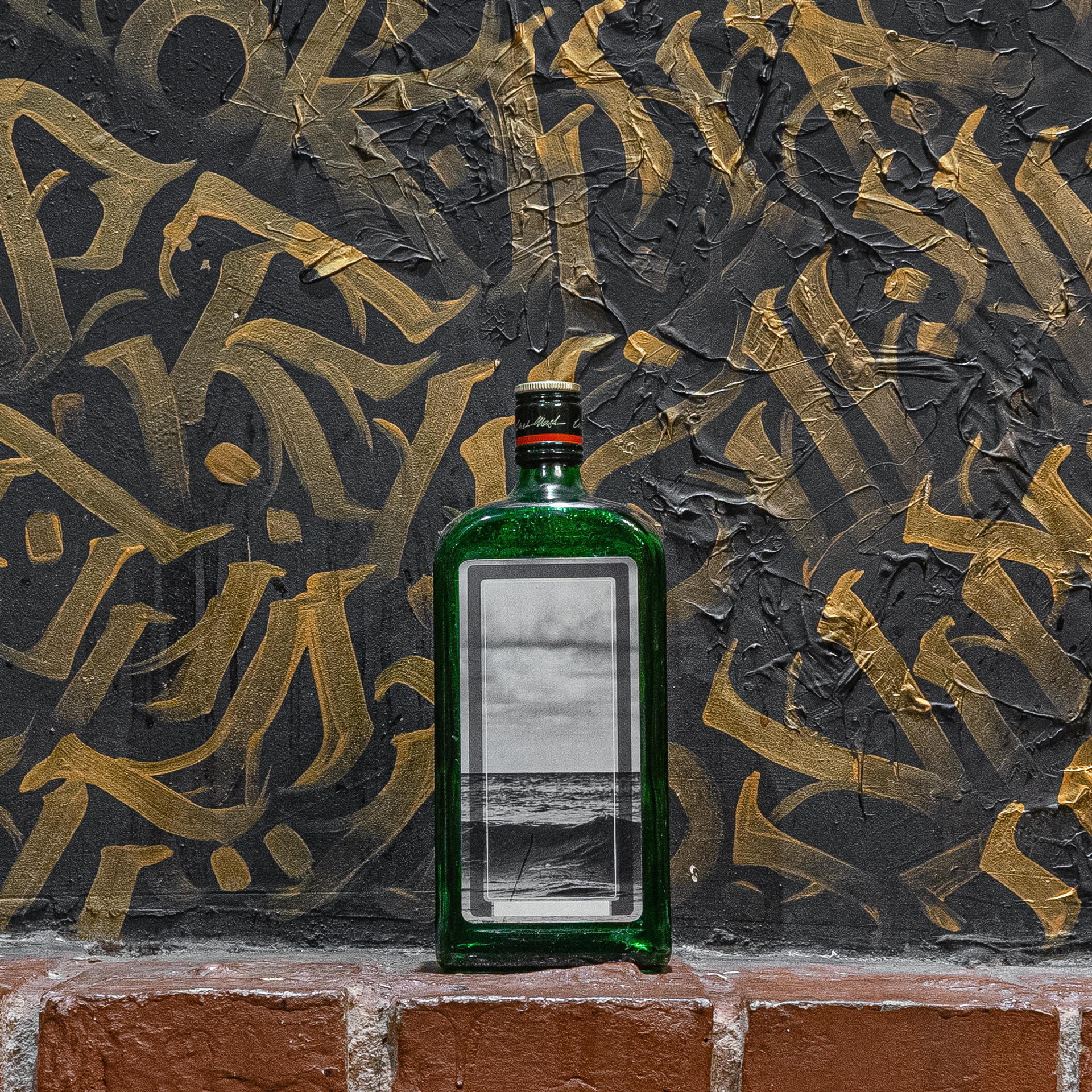 BOTTLE-BOOK. Wordlessly