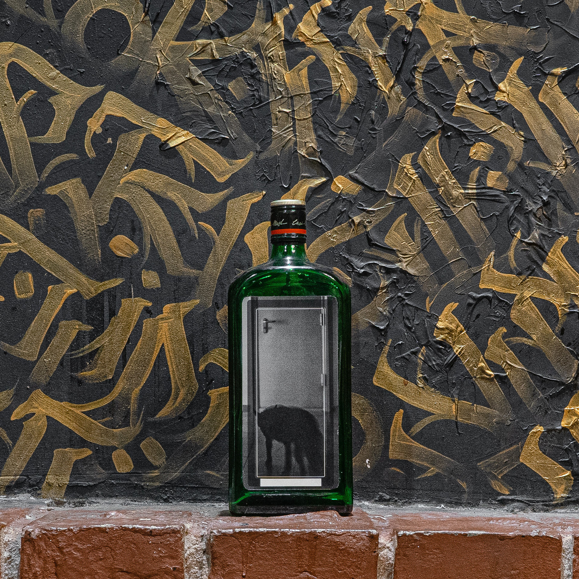 BOTTLE-BOOK. Wordlessly