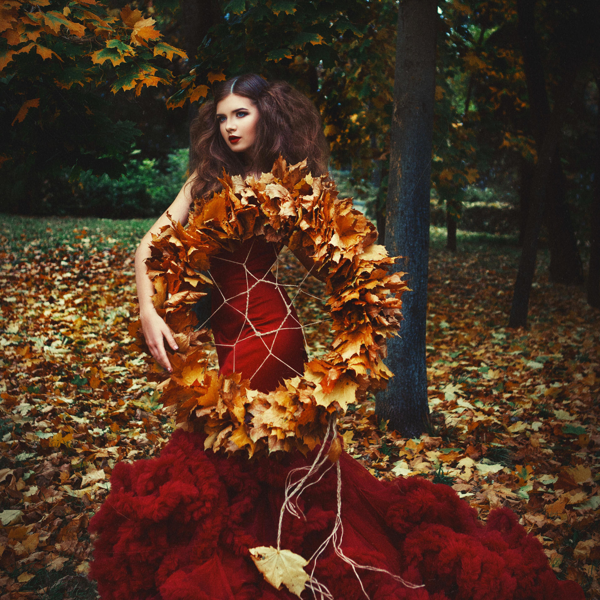 DreamCatcher