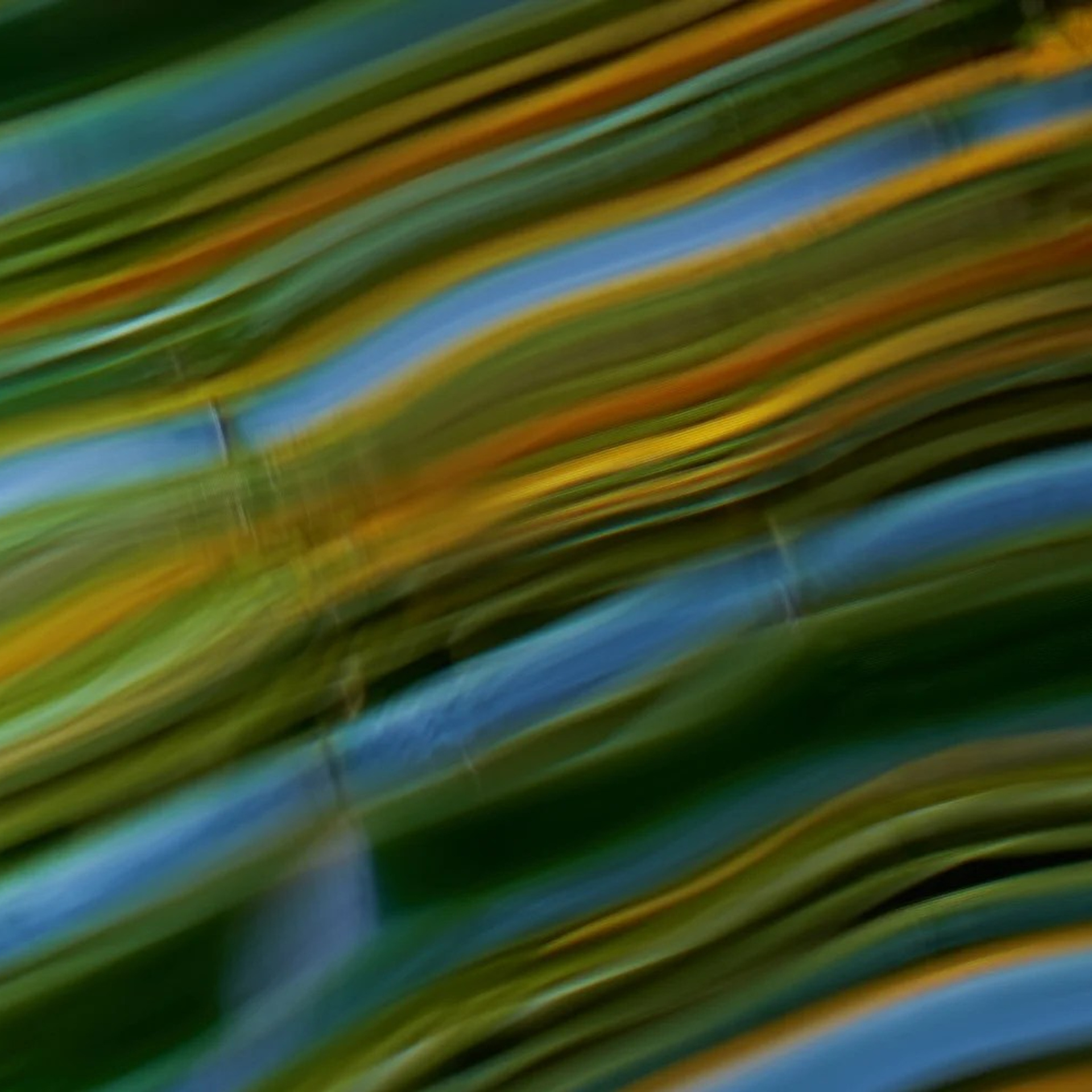 VISIBILITY. Ekaterina Bovkunova Photographer and Creator