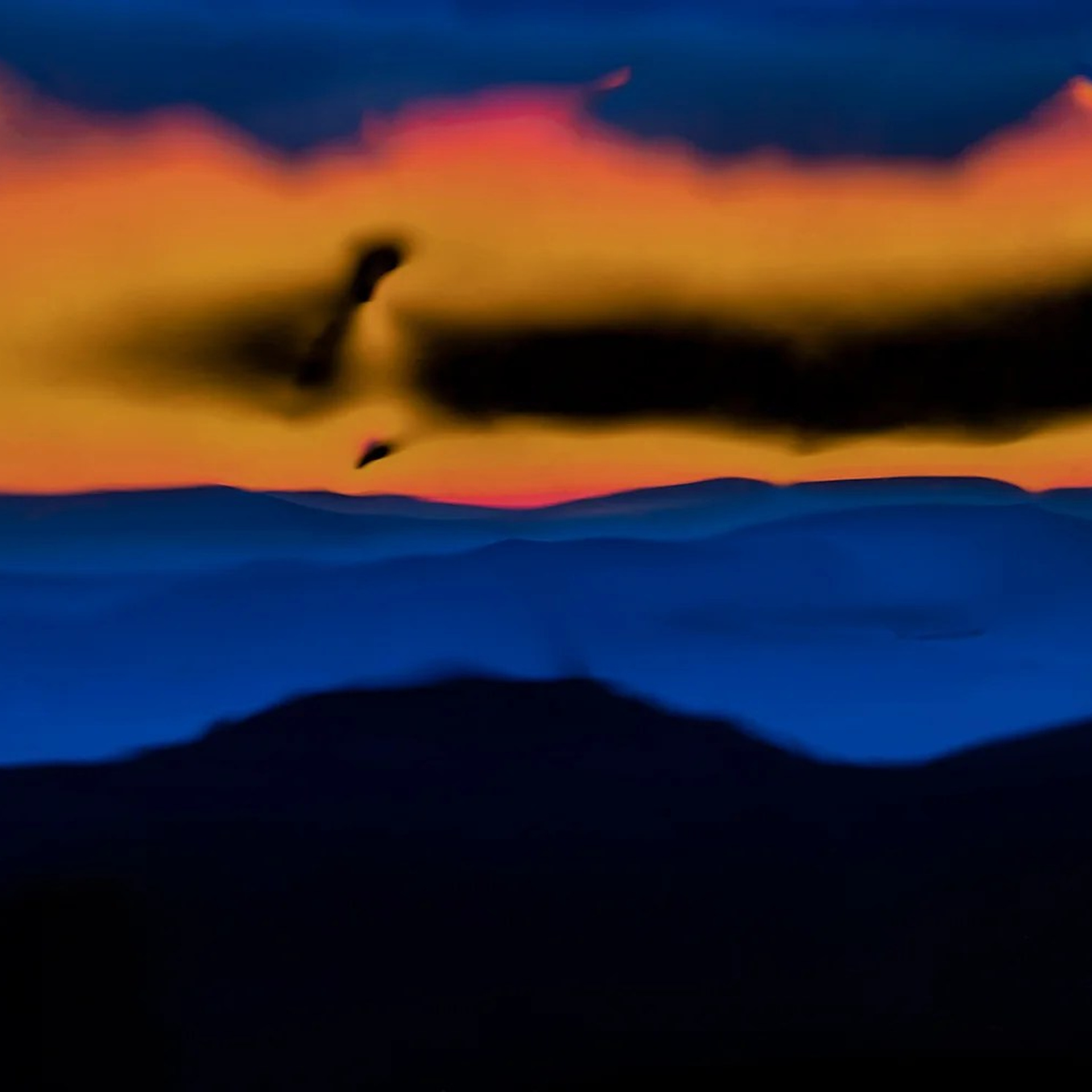 VISIBILITY. Ekaterina Bovkunova Photographer and Creator