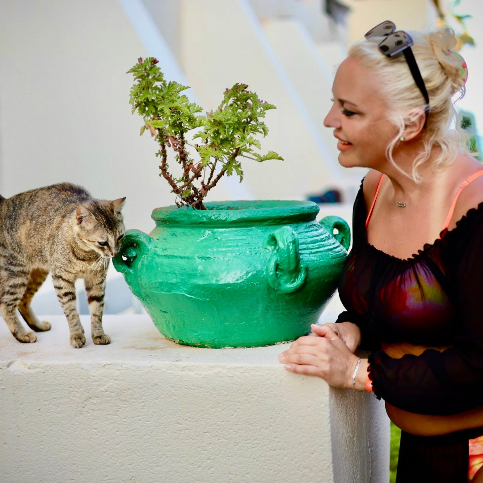 ЖАРА. Свадебный и семейный фотограф-Королева Натали/Раменское-Жуковский-Москва/тел.+7 (985) 153-75-43