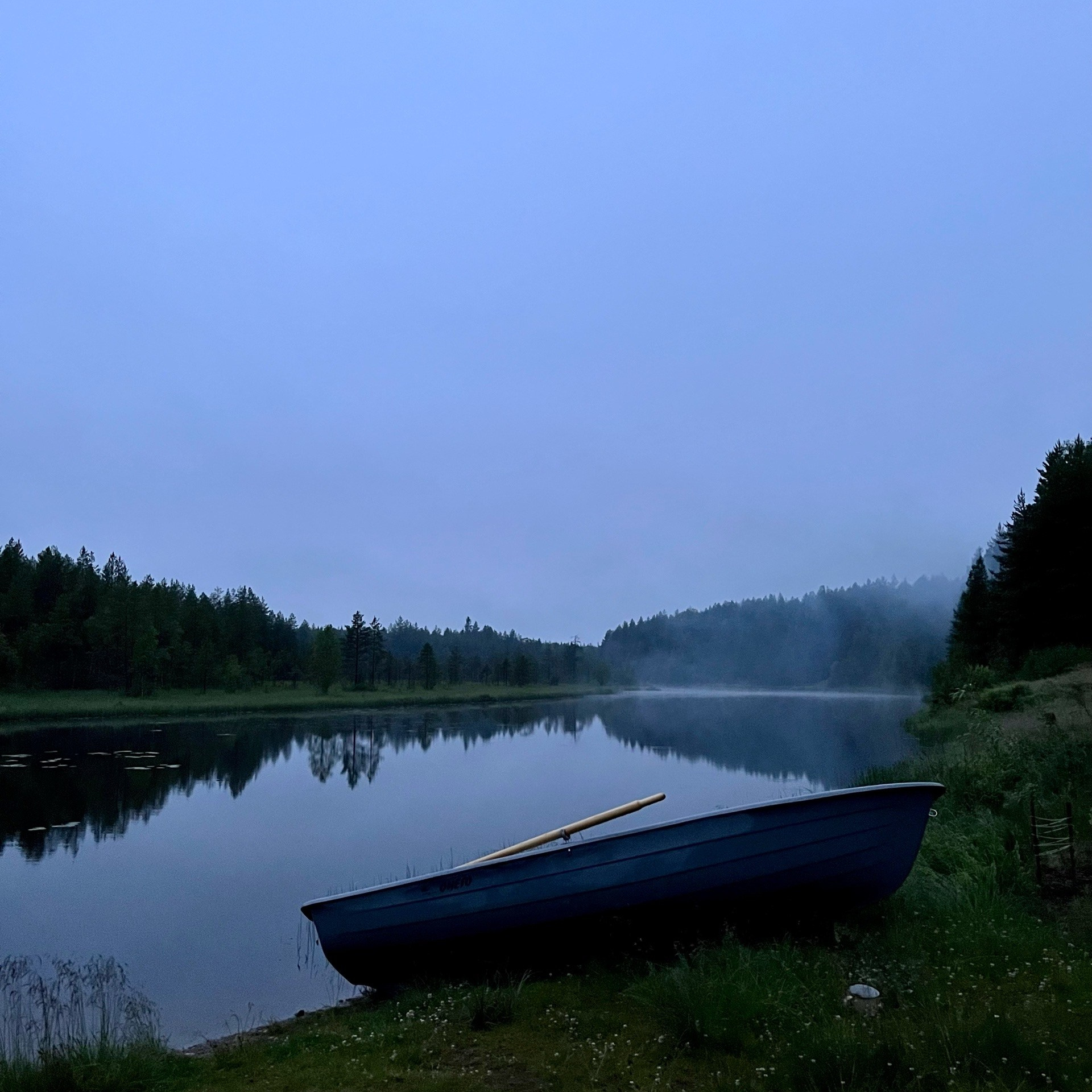 Северный пленер в карельской глуши. Творческий лагерь для взрослых