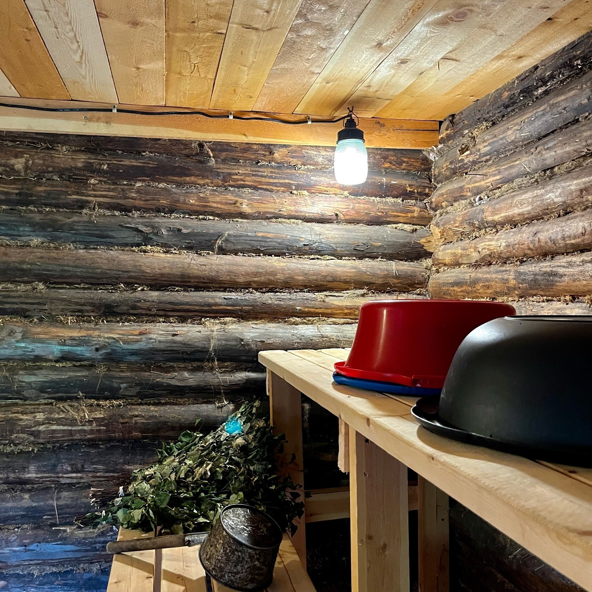 Северный пленер в карельской глуши. Творческий лагерь для взрослых