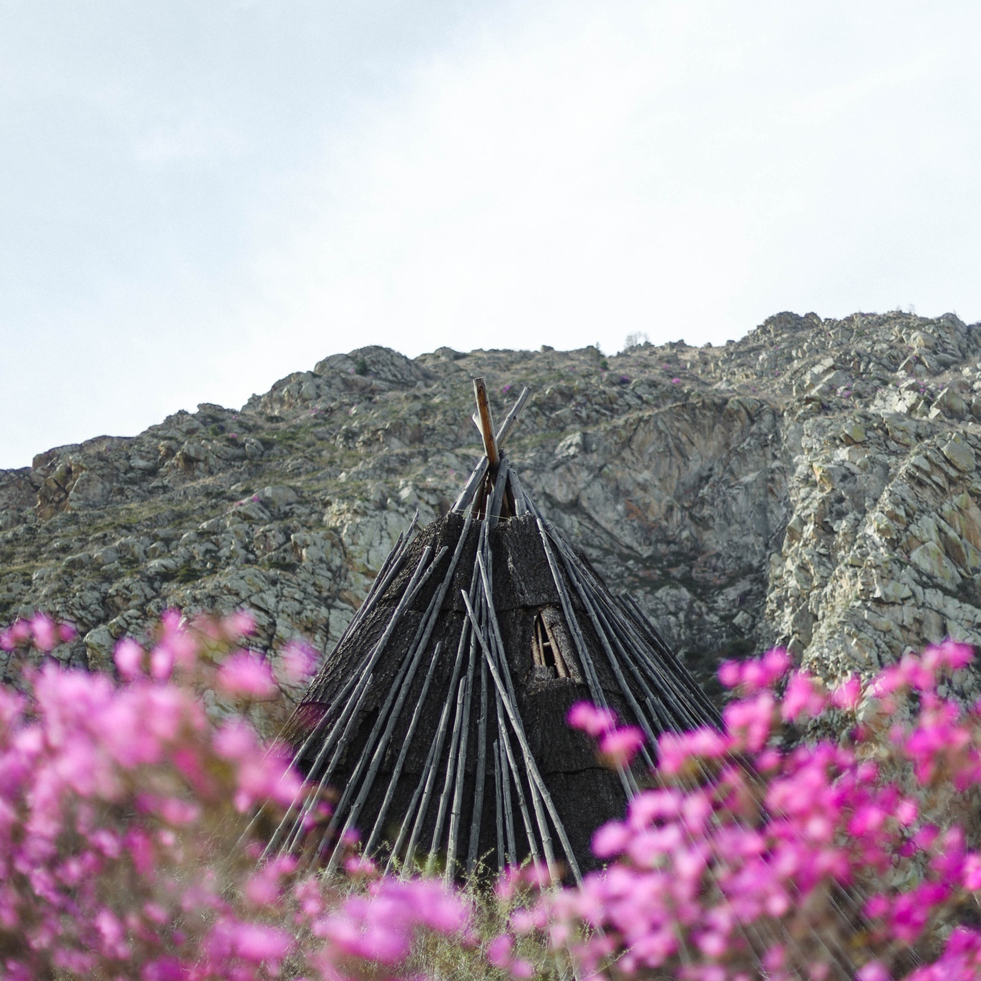 Прайс. Фотограф в Краснодаре и на Алтае Мария Зорькина