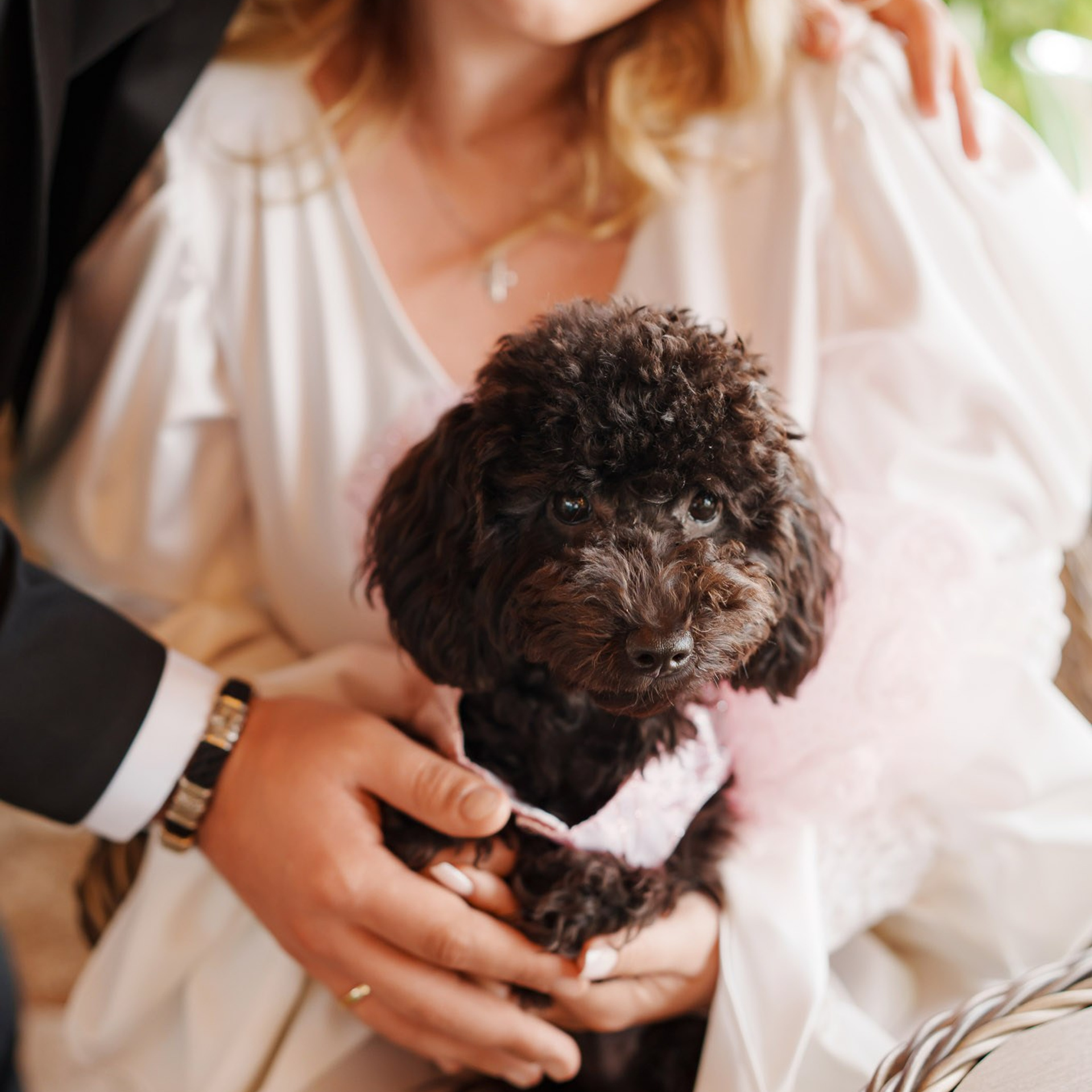 Невеста с собакой после венчания