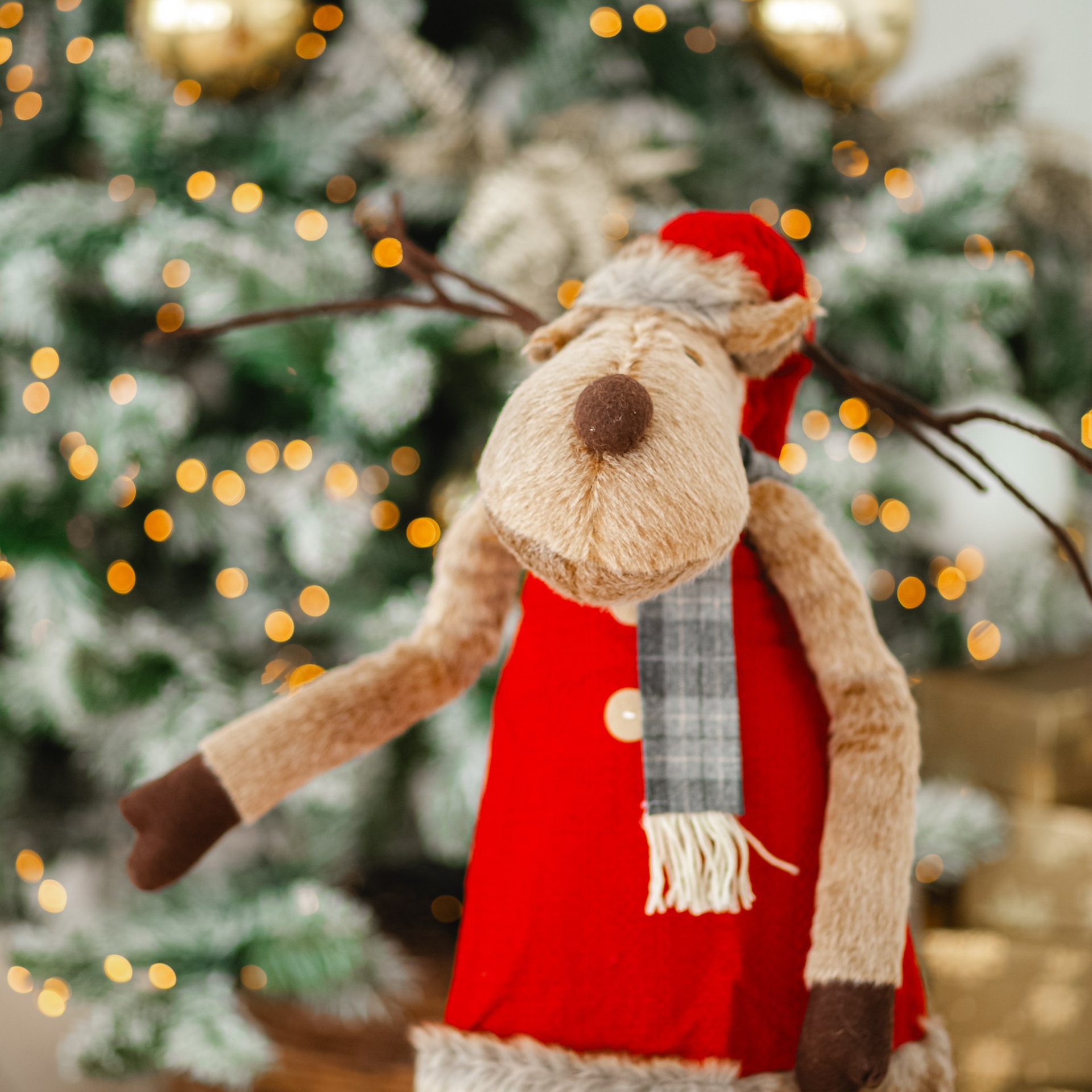 Аренда фотостудии. Фотостудия Невская Самара