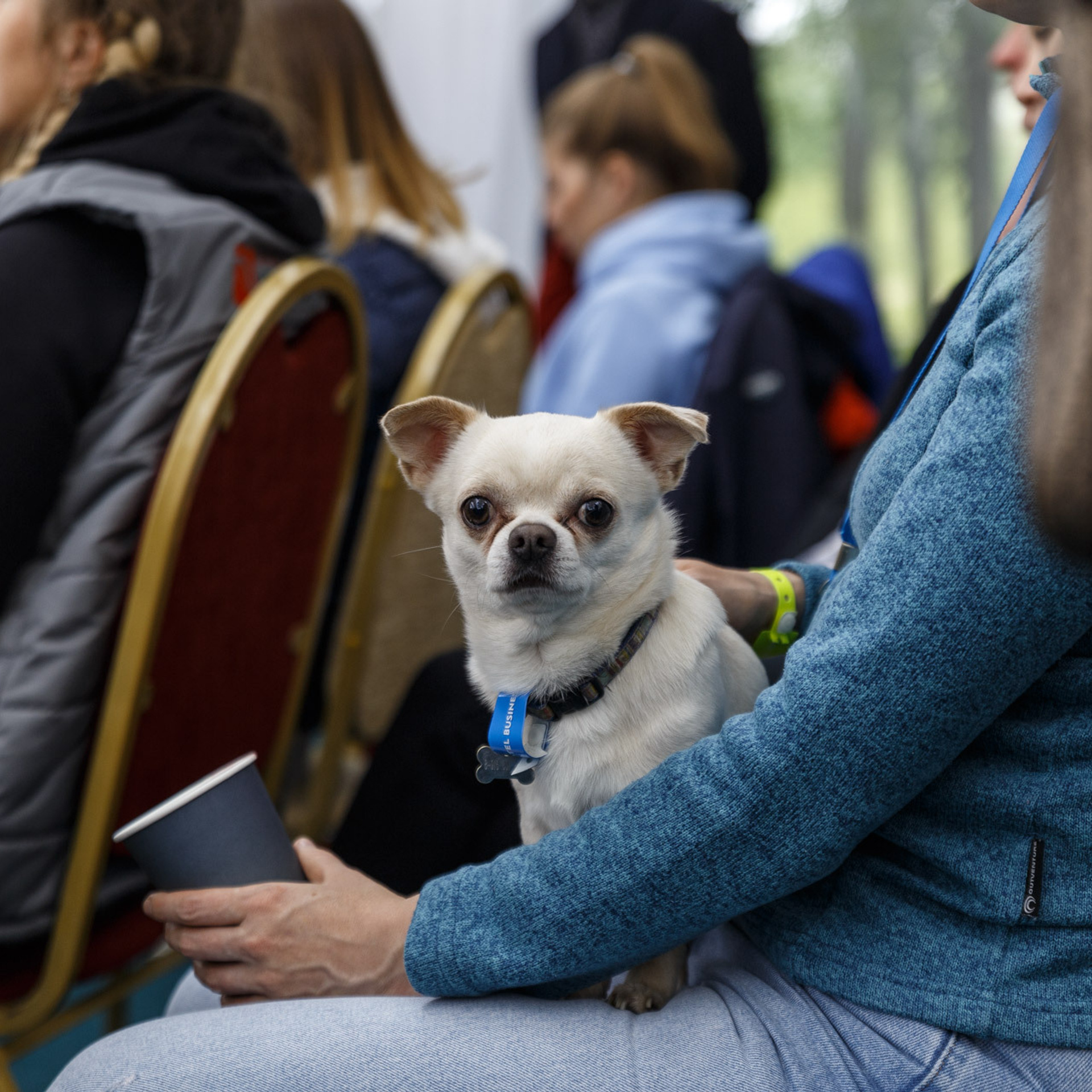 Репортажная фотосъемка мероприятия│Крис Медведева. Интерьерный фотограф в Москве Кристина Медведева