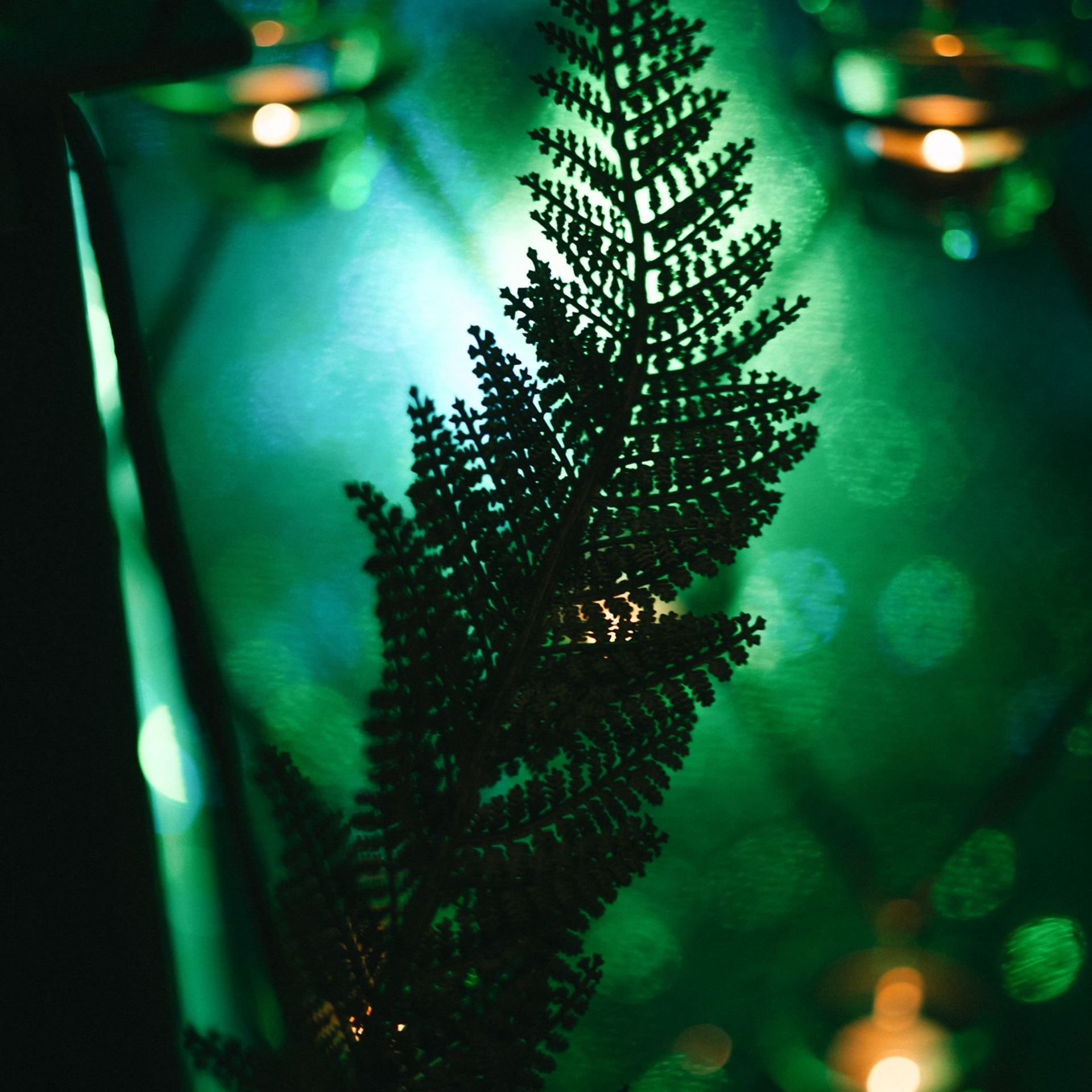 Мероприятия. ФОТОГРАФ КАЛИНИНГРАД РУПЕЦ ИГОРЬ