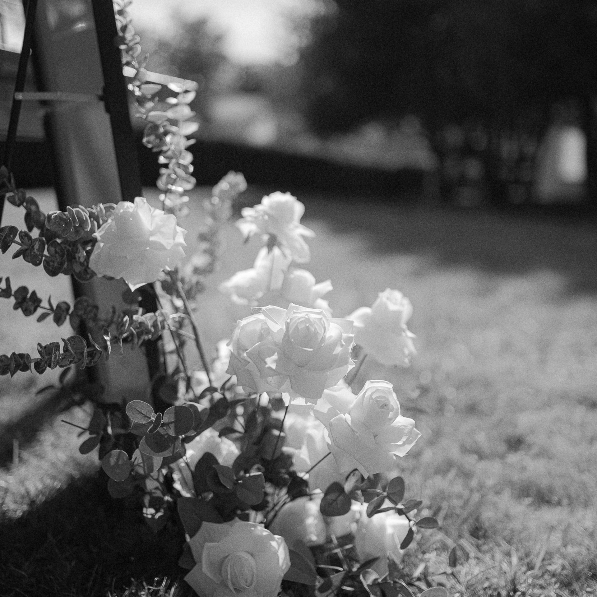 СВАДЕБНЫЙ ФОТОГРАФ В КАЛИНИНГРАДЕ РУПЕЦ ИГОРЬ. ФОТОГРАФ КАЛИНИНГРАД РУПЕЦ ИГОРЬ