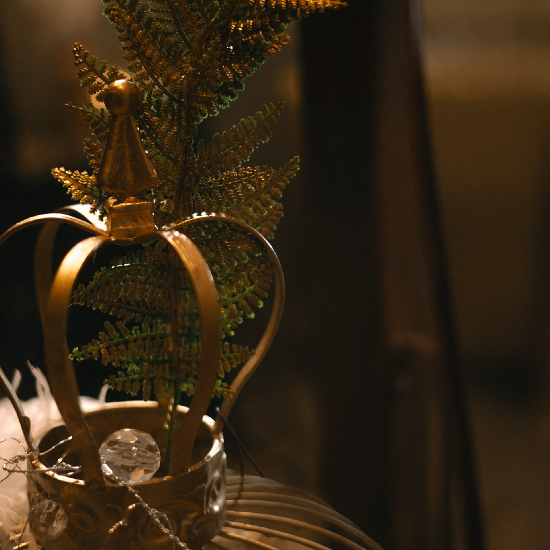 Мероприятия. ФОТОГРАФ КАЛИНИНГРАД РУПЕЦ ИГОРЬ