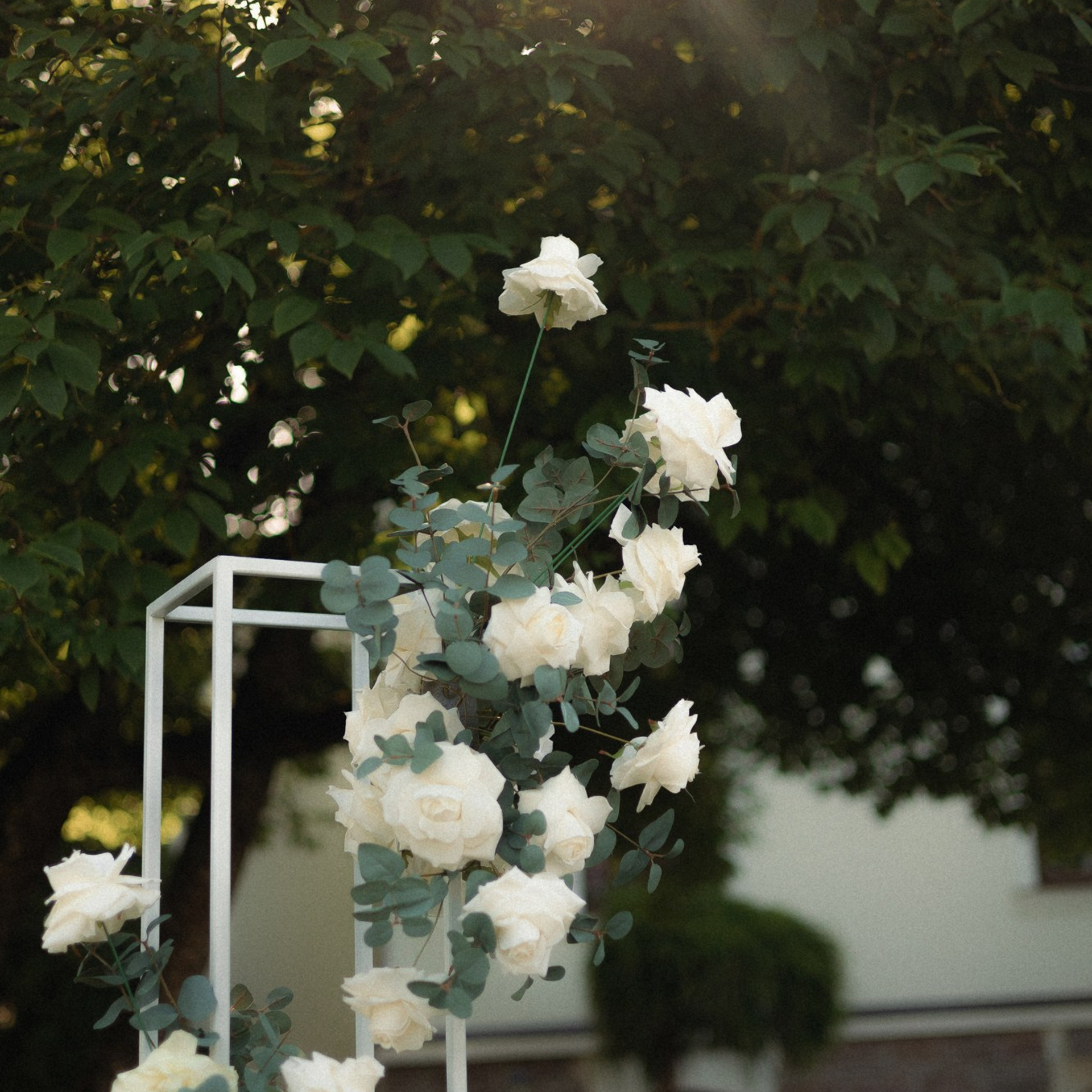 СВАДЕБНЫЙ ФОТОГРАФ В КАЛИНИНГРАДЕ РУПЕЦ ИГОРЬ. ФОТОГРАФ КАЛИНИНГРАД РУПЕЦ ИГОРЬ