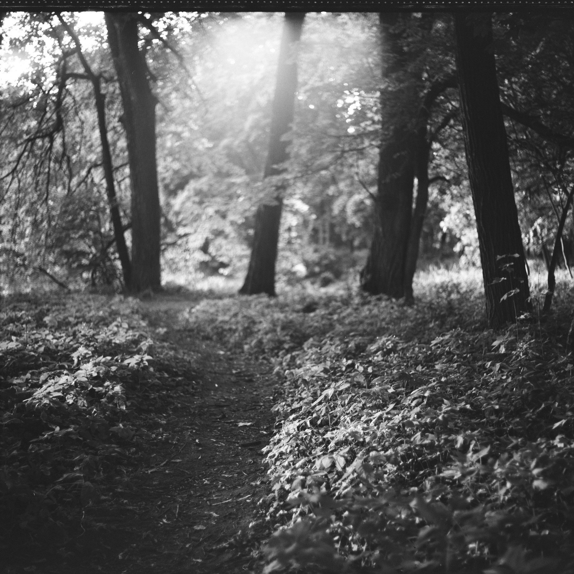 #SAVEBYKOVO — проект возрождения усадьбы Быково