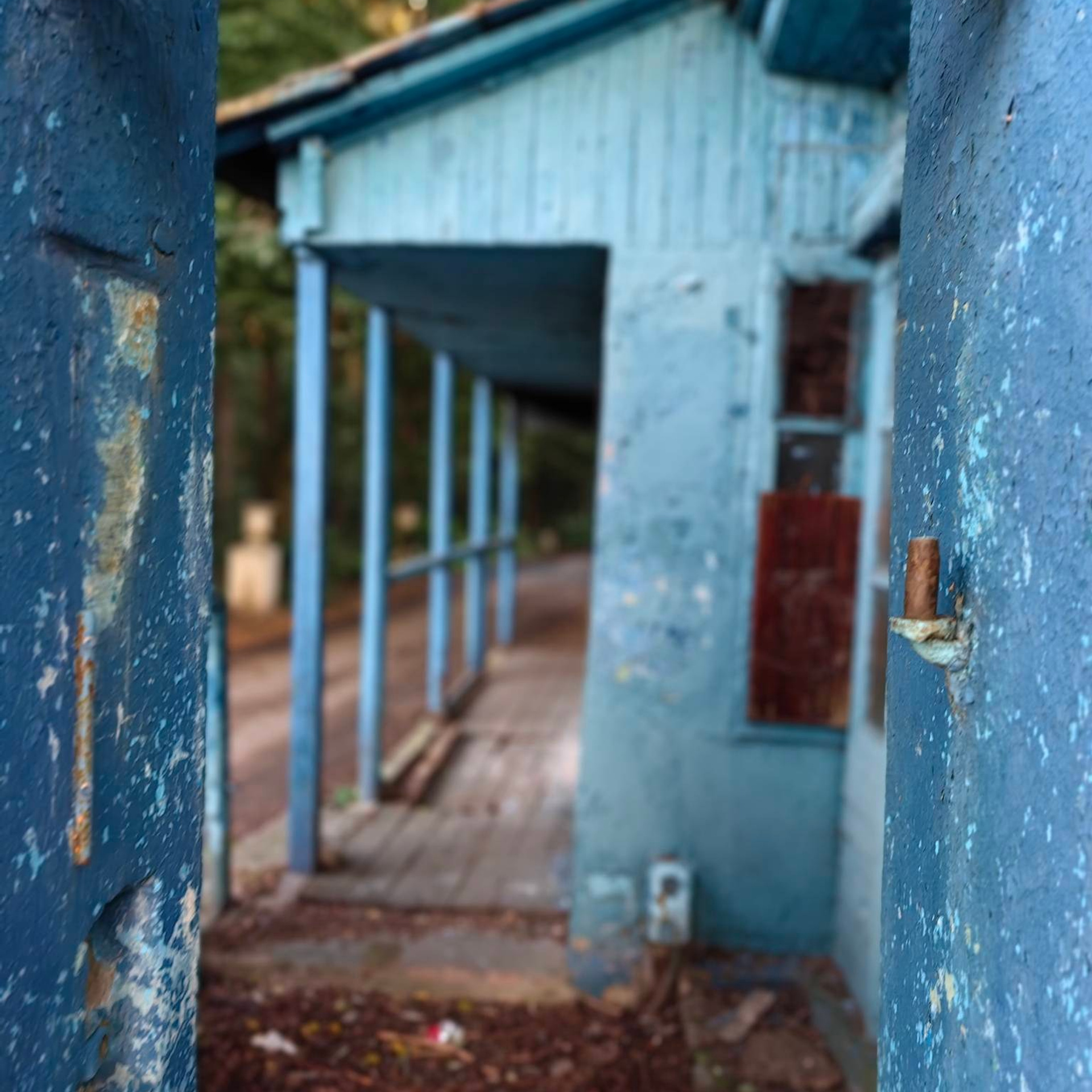 вход в усадьбу Быково