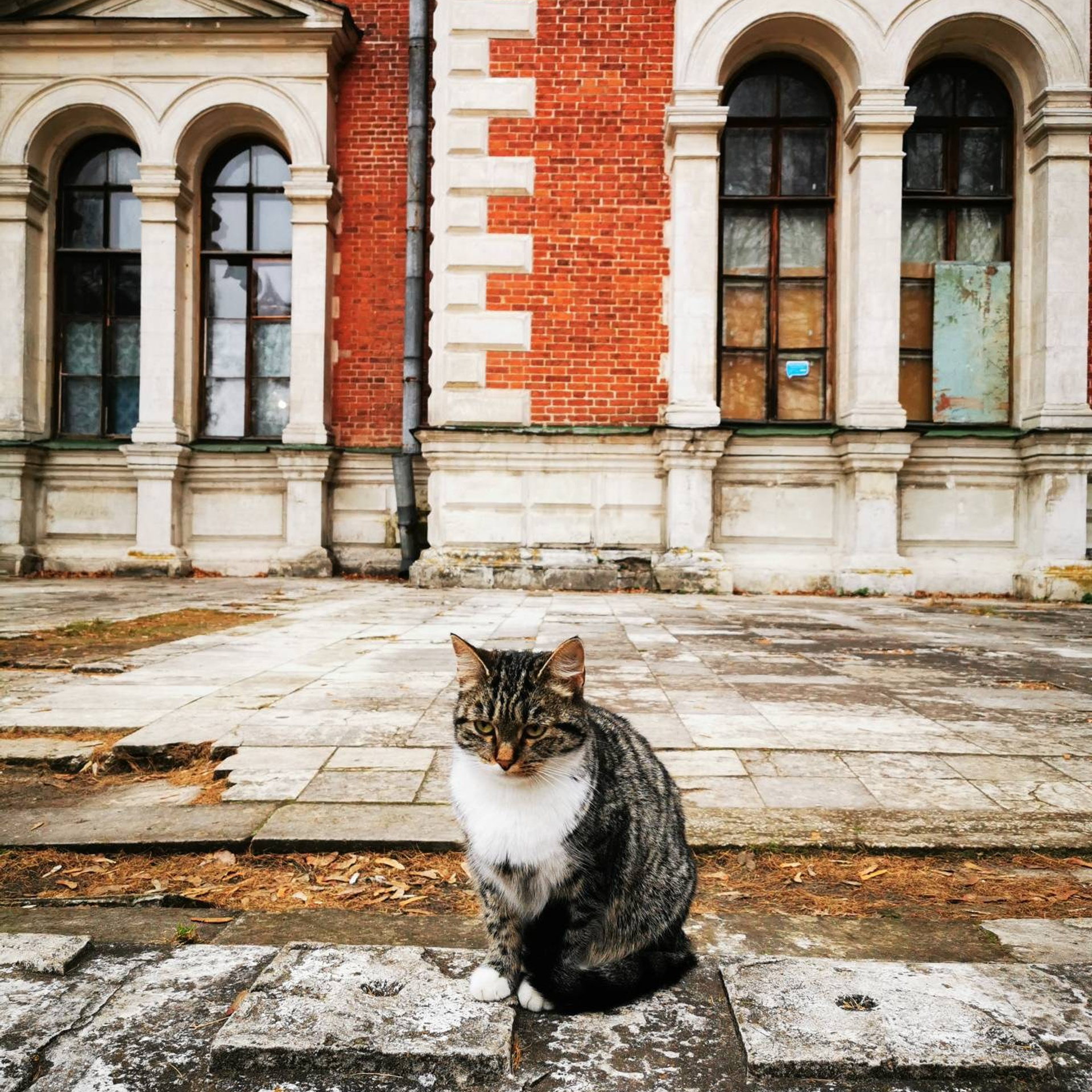 усадьба Быково осенью, записки художника