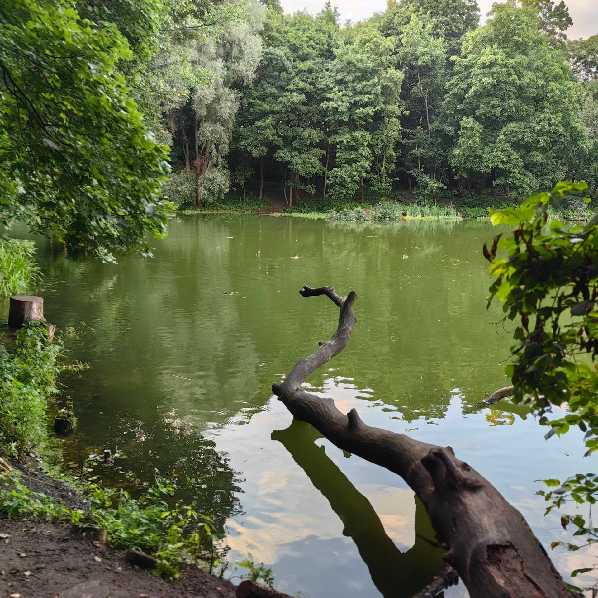 Усадьба Быково. Купить картину на холсте для интерьера|художник | дизайнер | архитектор Сергей Ратчин в Москве