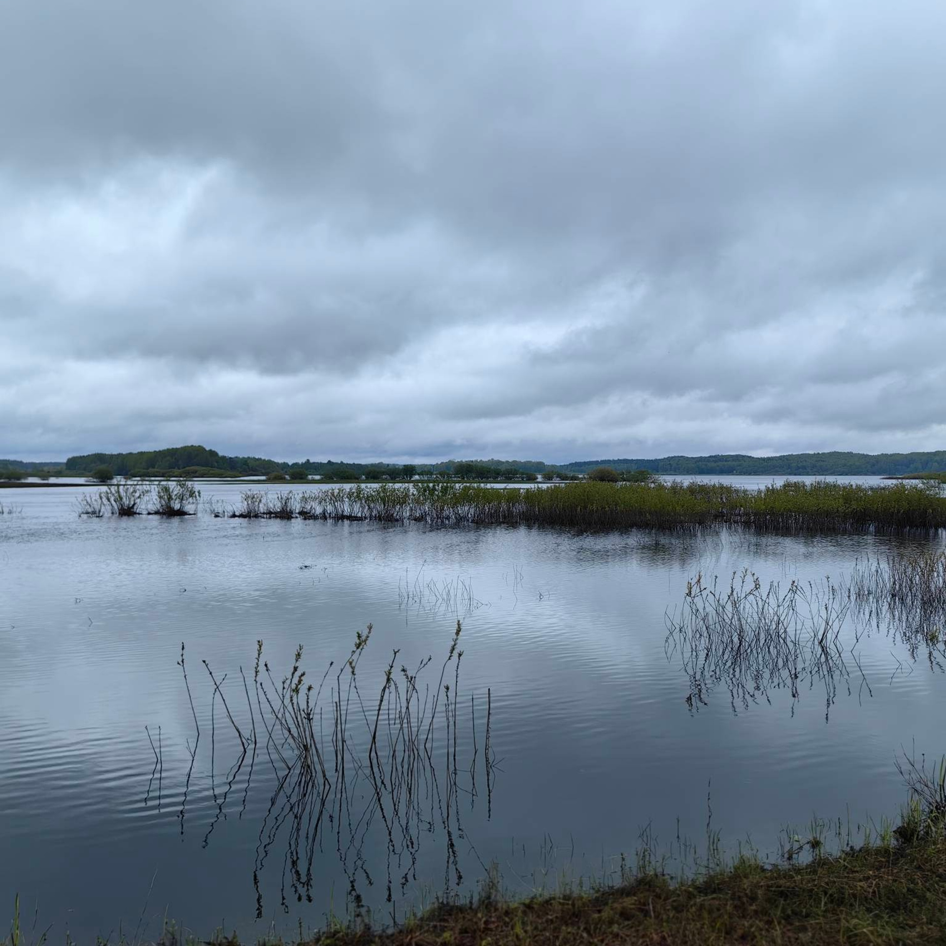 история усадьбы Михайловское Пушкин, Михайловское усадьба фото, Пушкин в Михайловском творчество, усадьба Михайловское история, картина Михайловское Пушкин, ссылка Пушкина в Михайловском