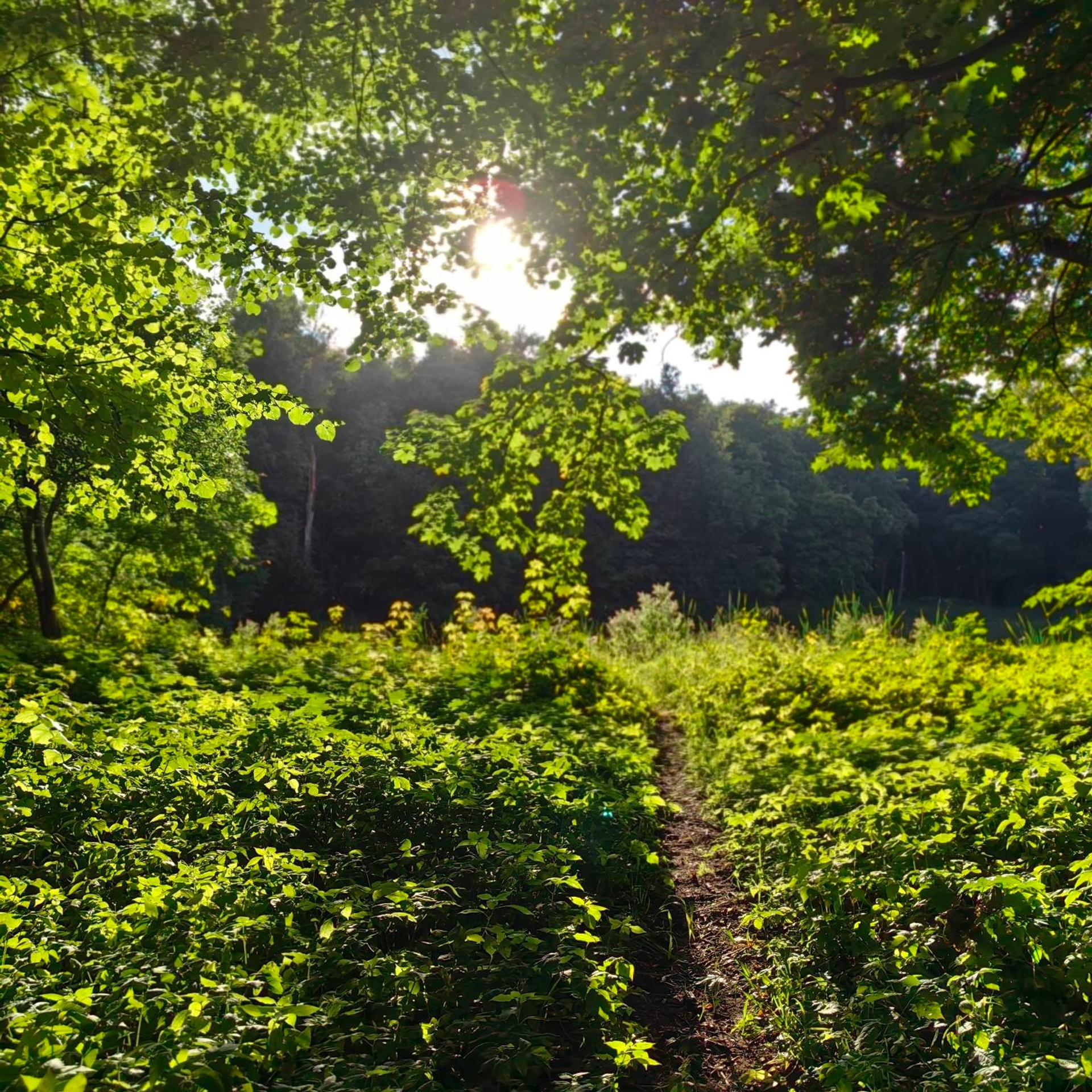 Усадьба Быково. Купить картину на холсте для интерьера|художник | дизайнер | архитектор Сергей Ратчин в Москве