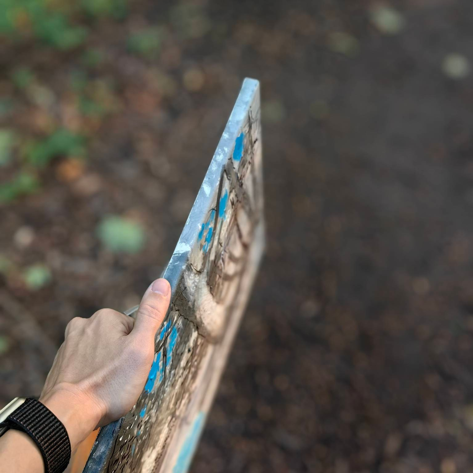 Пленэр в Быково с художником, этюды в усадьбе Быково