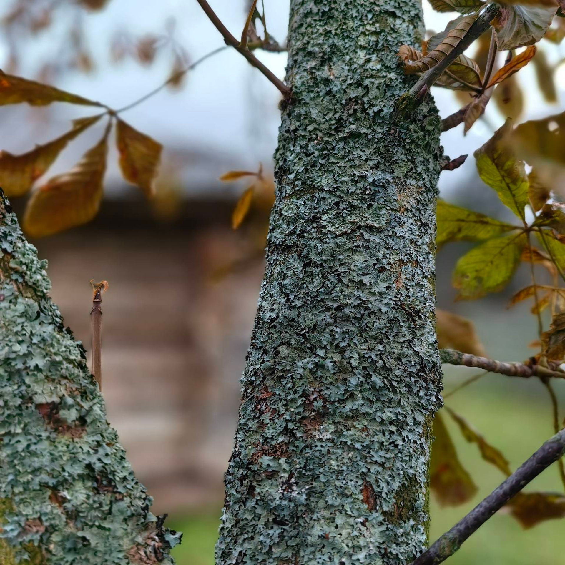 Усадьба Шахматово А.А. Блока, поездка в подмосковье, усадьбы подмосковья