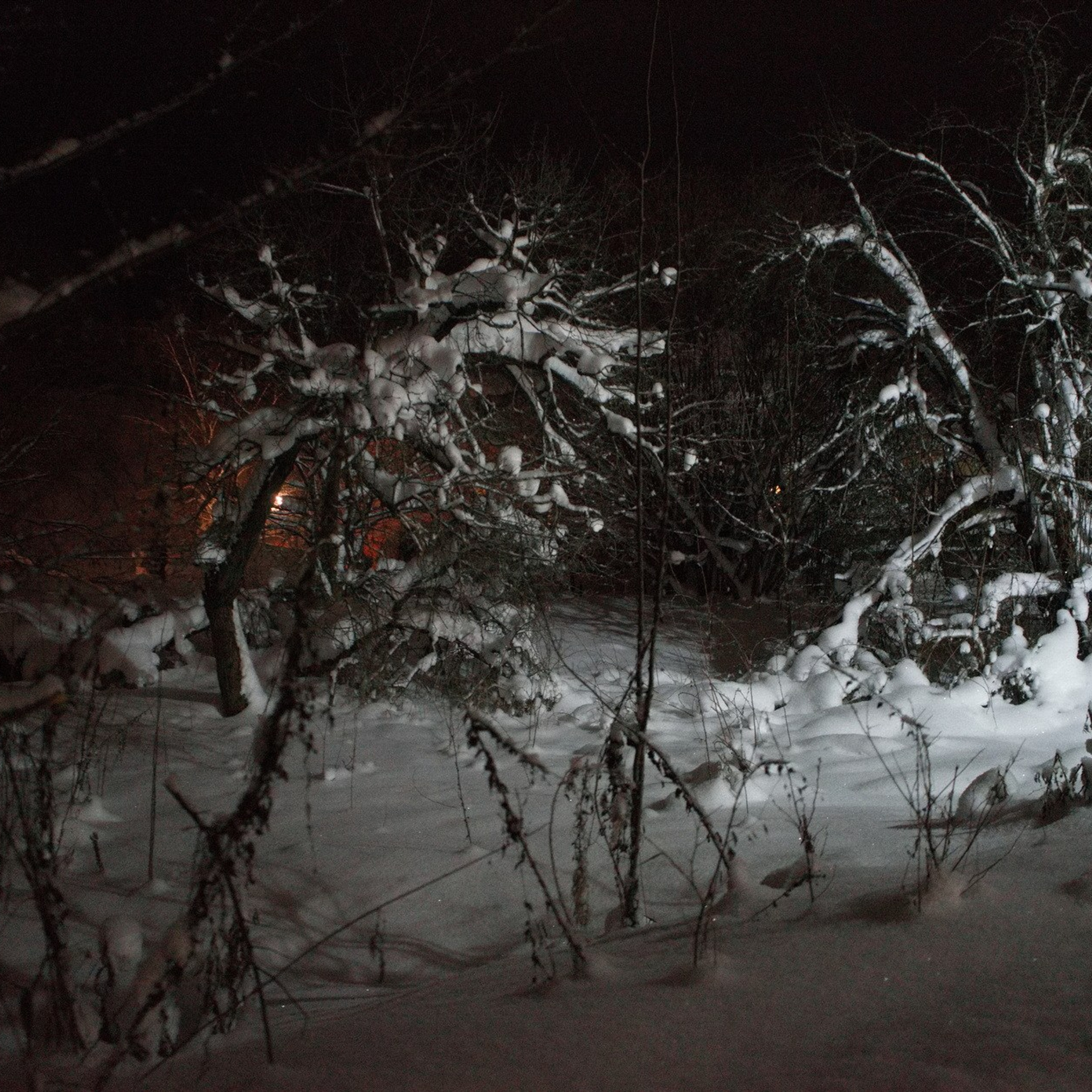 Плёс зимой, зимняя сказка, идея для зимних каникул