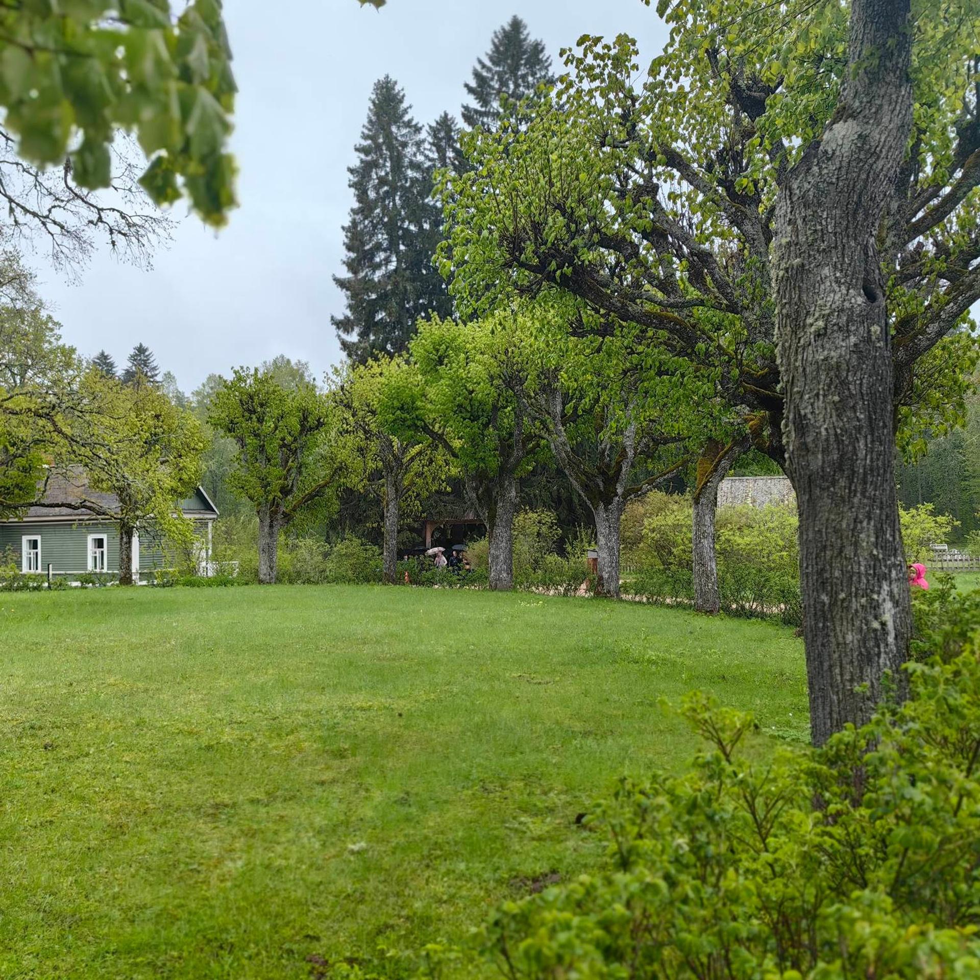 история усадьбы Михайловское Пушкин, Михайловское усадьба фото, Пушкин в Михайловском творчество, усадьба Михайловское история, картина Михайловское Пушкин, ссылка Пушкина в Михайловском