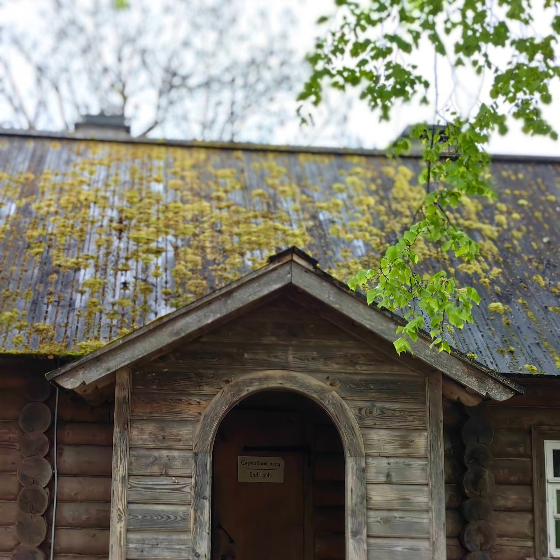 история усадьбы Михайловское Пушкин, Михайловское усадьба фото, Пушкин в Михайловском творчество, усадьба Михайловское история, картина Михайловское Пушкин, ссылка Пушкина в Михайловском