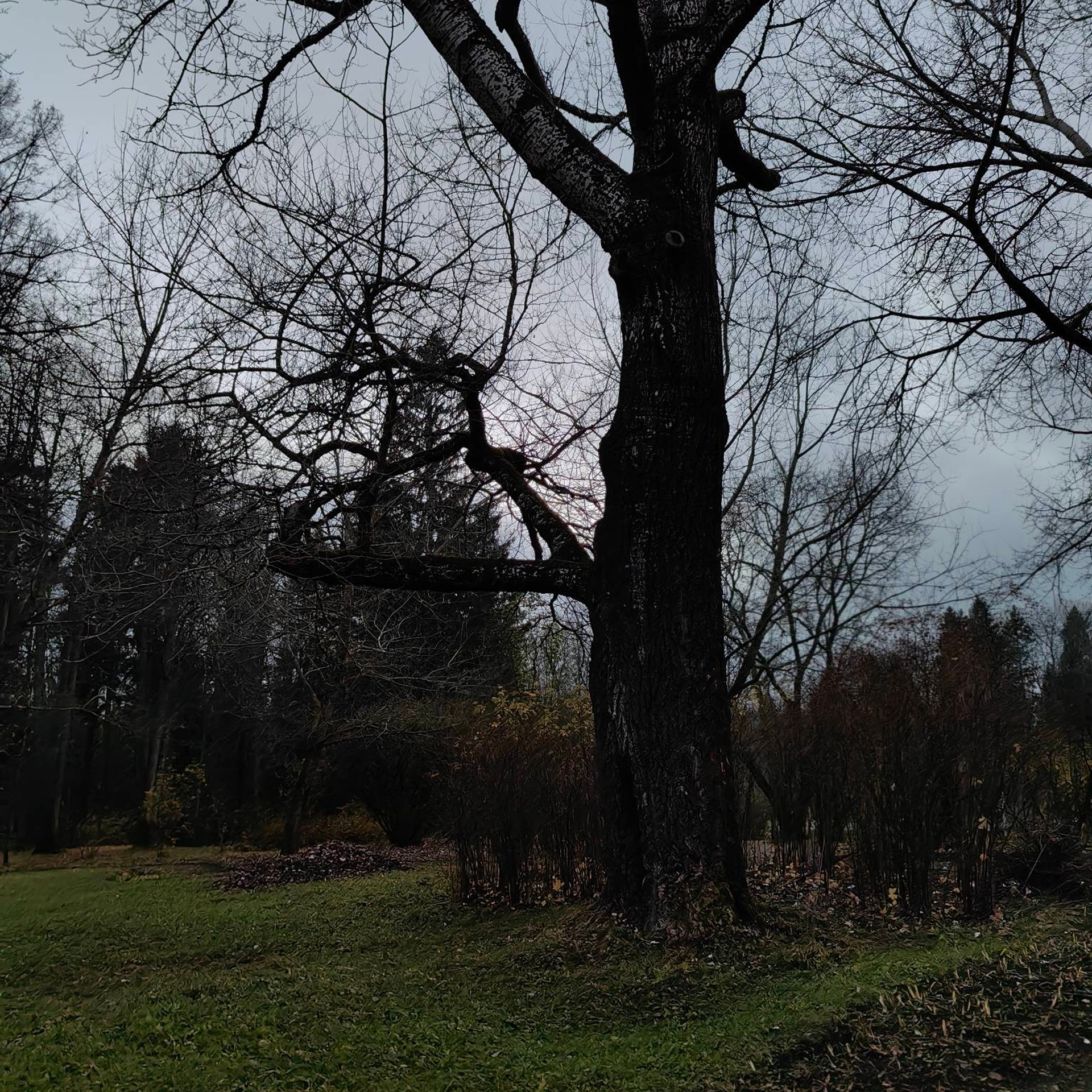 Усадьба А.А.Блока Шахматово