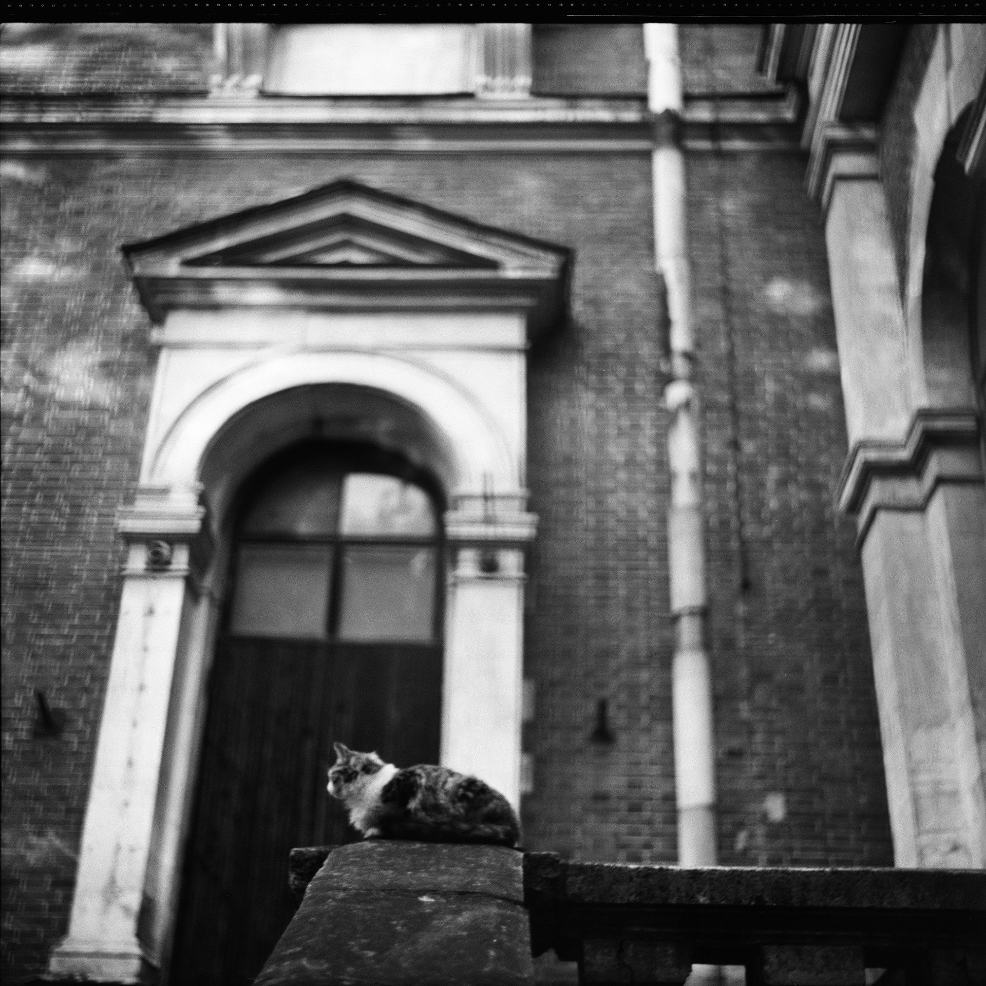 #SAVEBYKOVO — проект возрождения усадьбы Быково