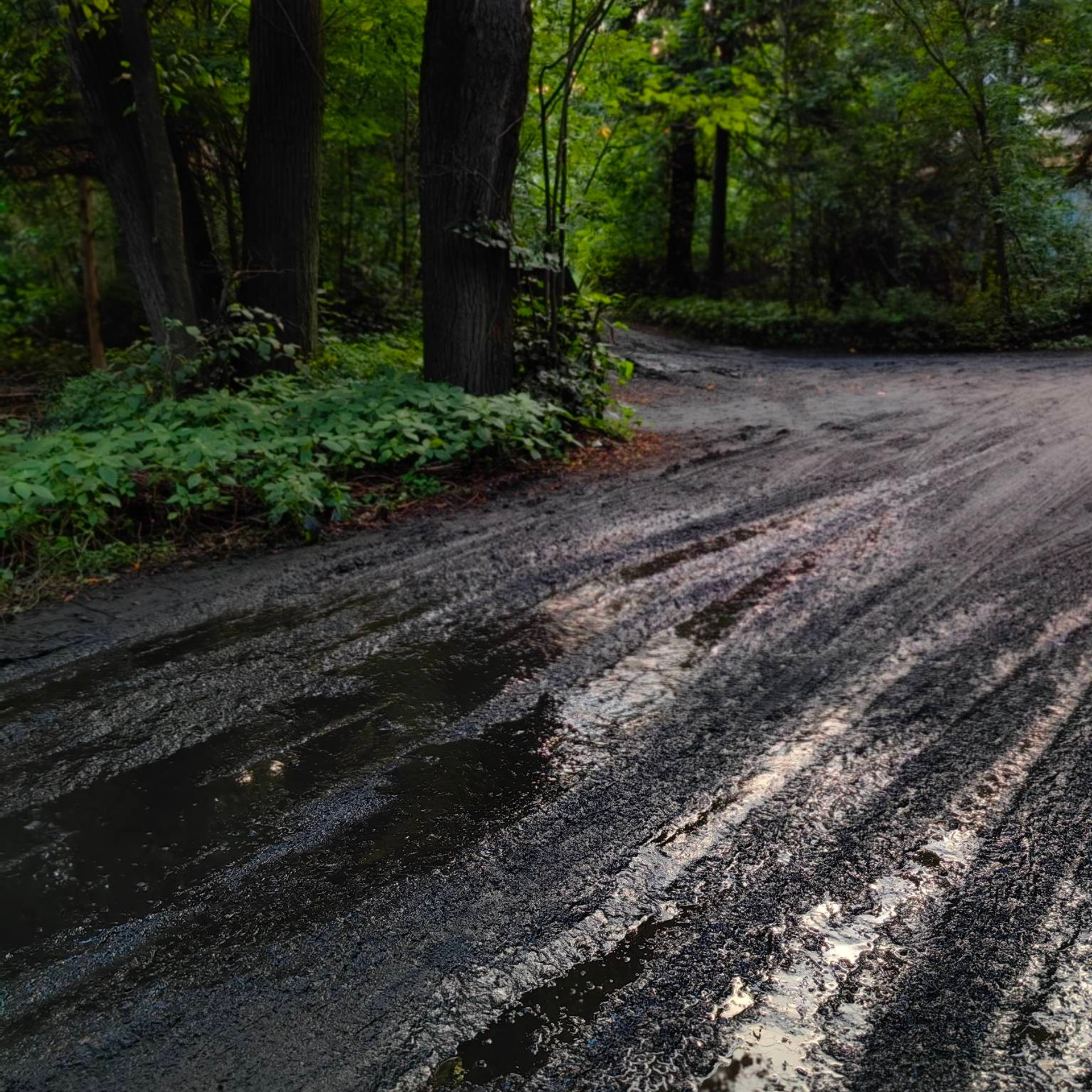 Усадьба Быково. Купить картину на холсте для интерьера|художник | дизайнер | архитектор Сергей Ратчин в Москве