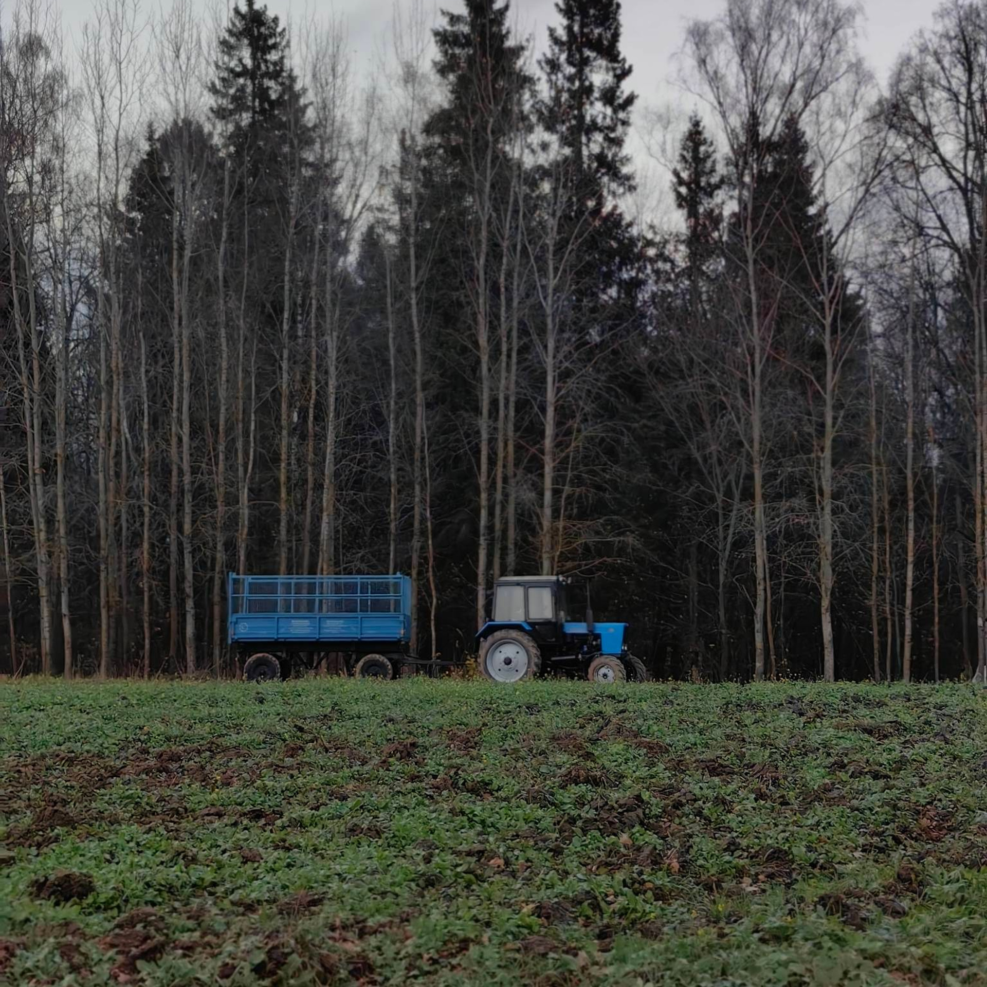 Усадьба А.А.Блока Шахматово