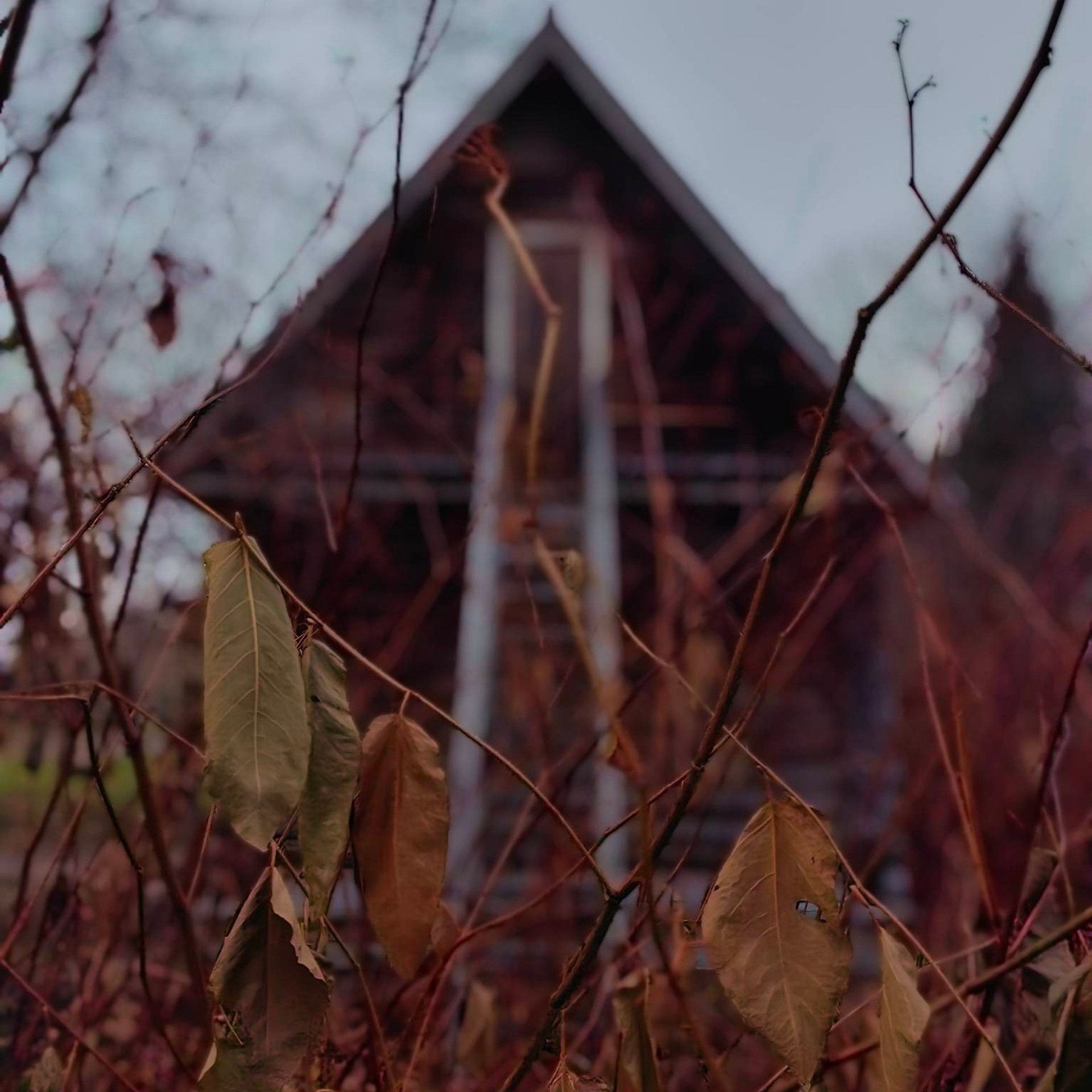 Усадьба Шахматово А.А. Блока, поездка в подмосковье, усадьбы подмосковья